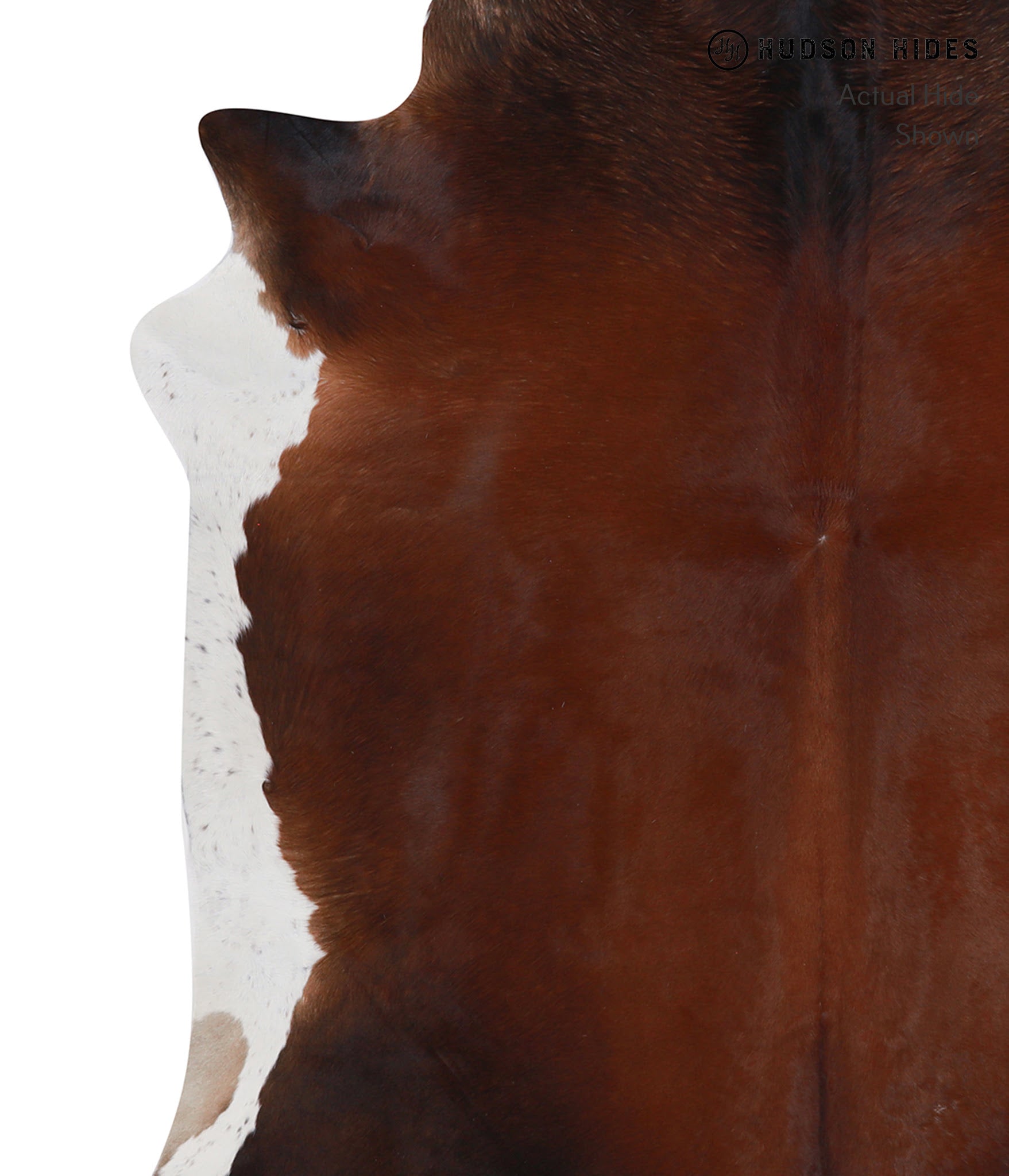 Brown with Red Cowhide Rug #A7738