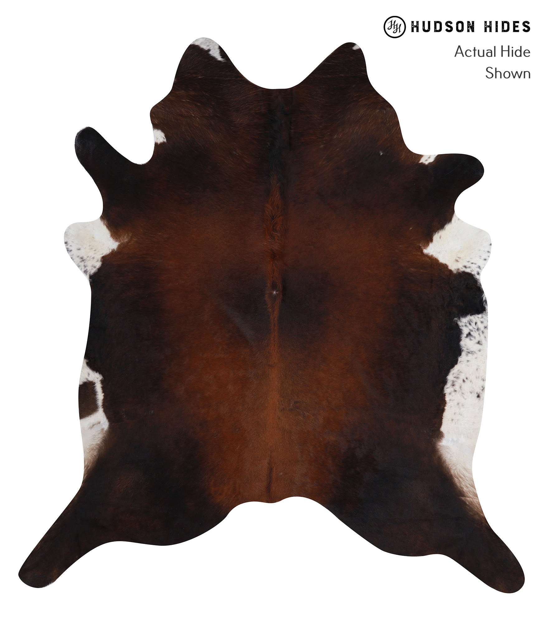 Brown with Red Cowhide Rug #A7754