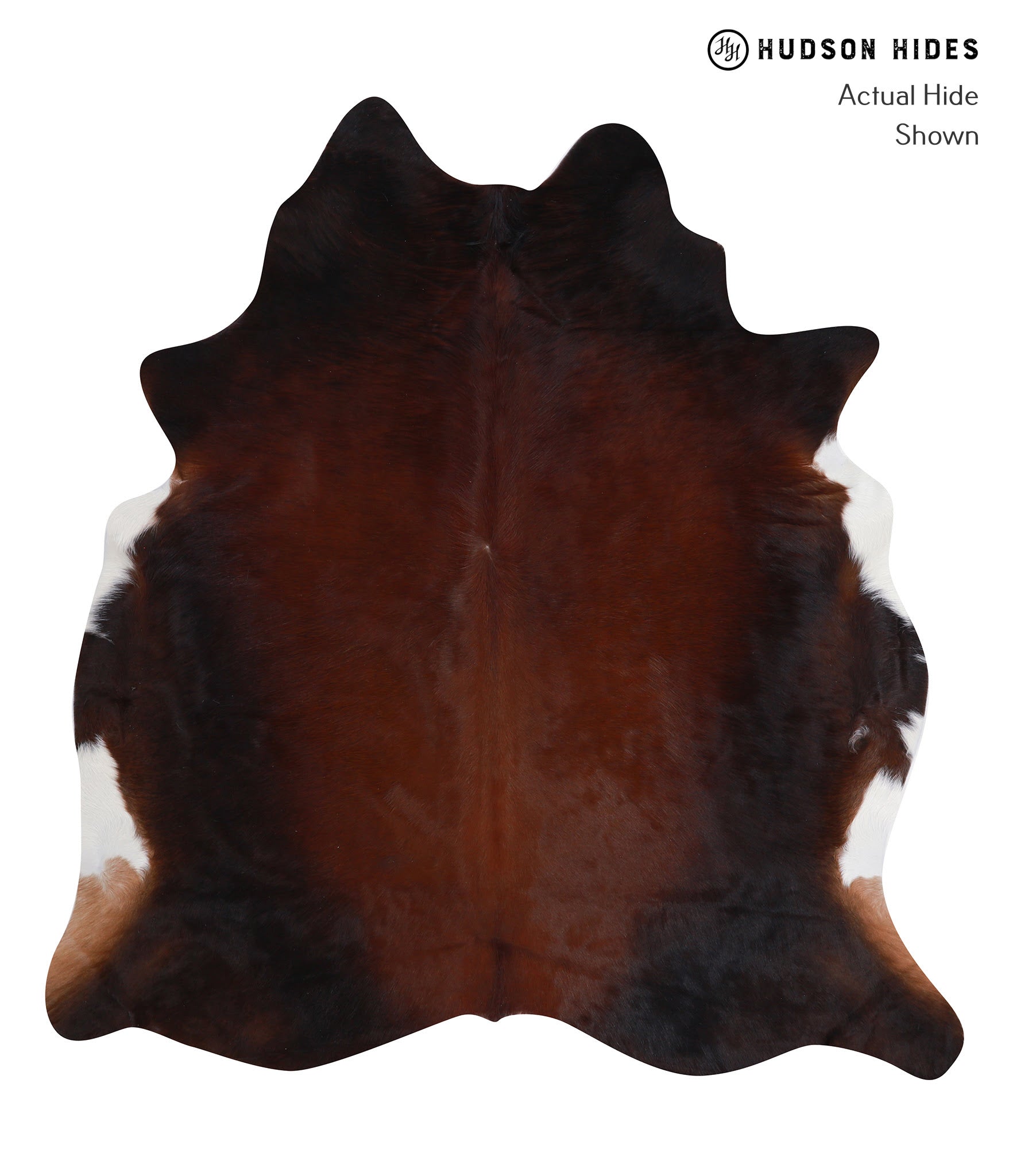 Brown with Red Cowhide Rug #A7758