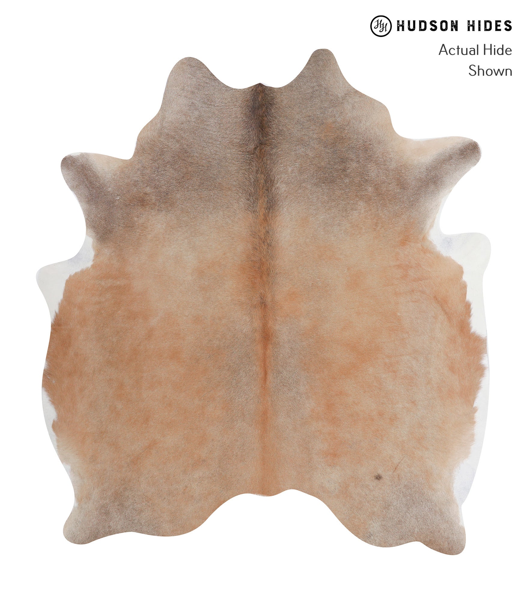 Caramel Cowhide Rug #A7858