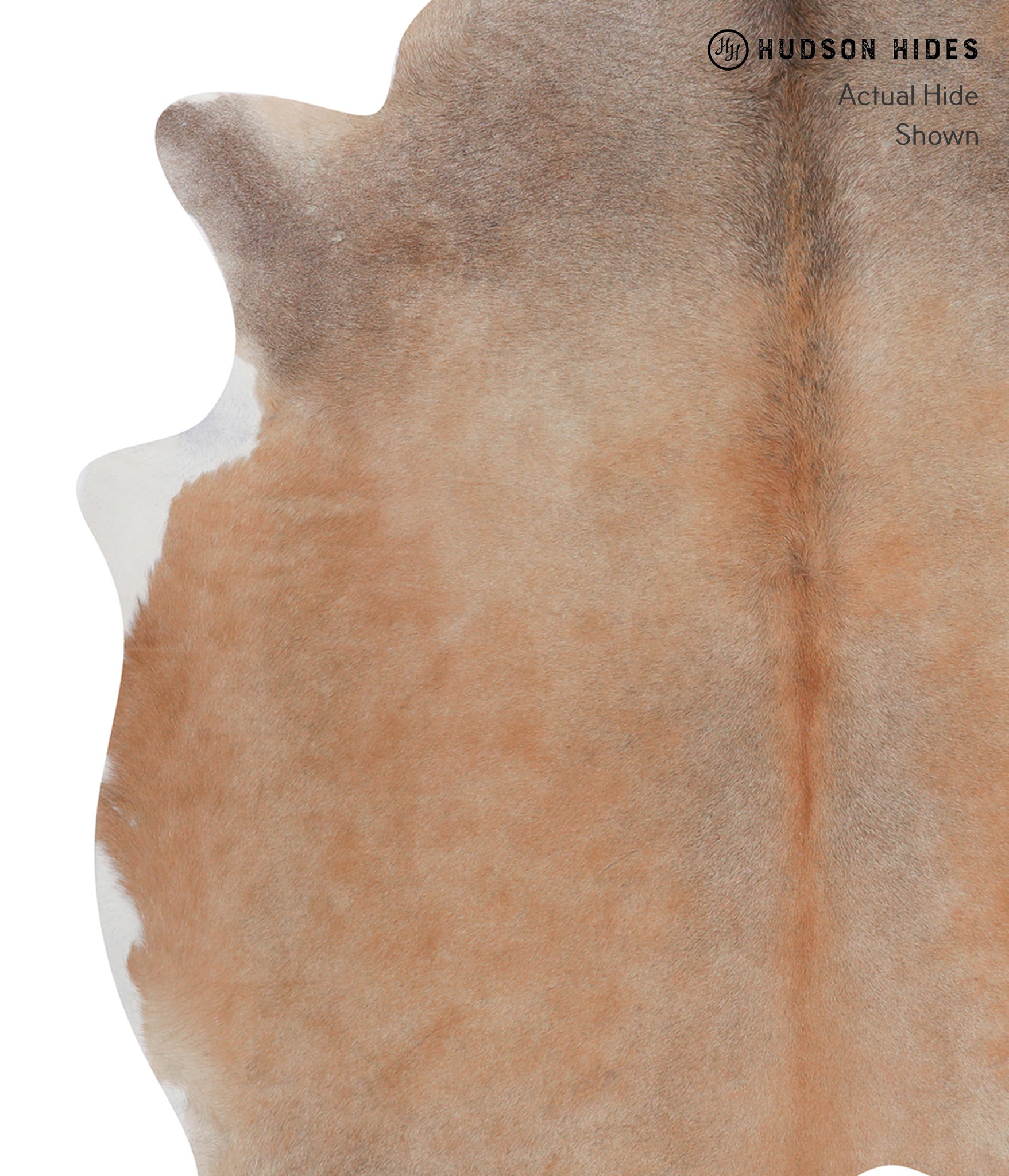 Caramel Cowhide Rug #A7858