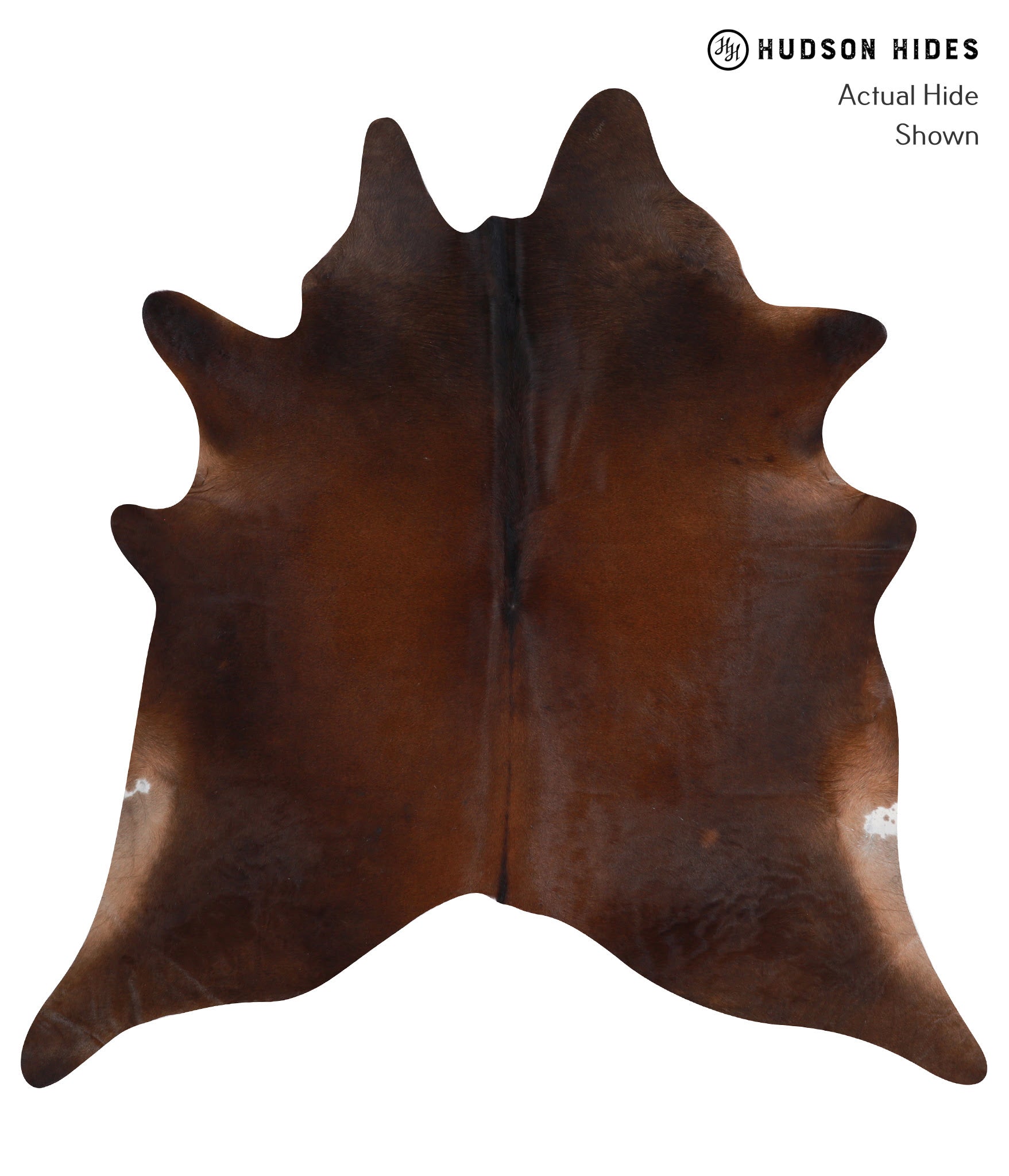 Brown with Red Cowhide Rug #A7923