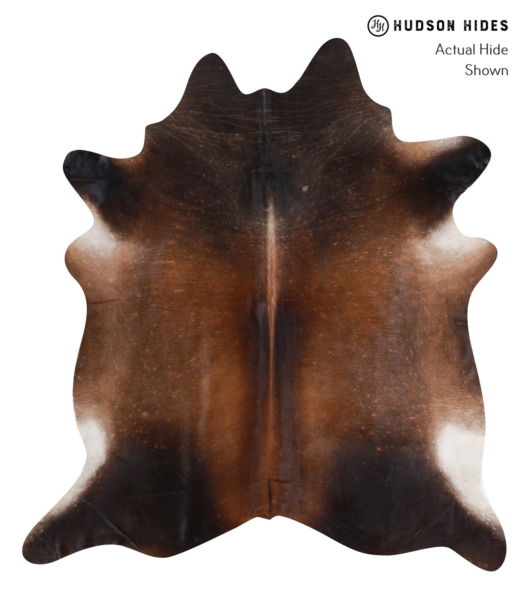 Brown with Red Cowhide Rug #A7947