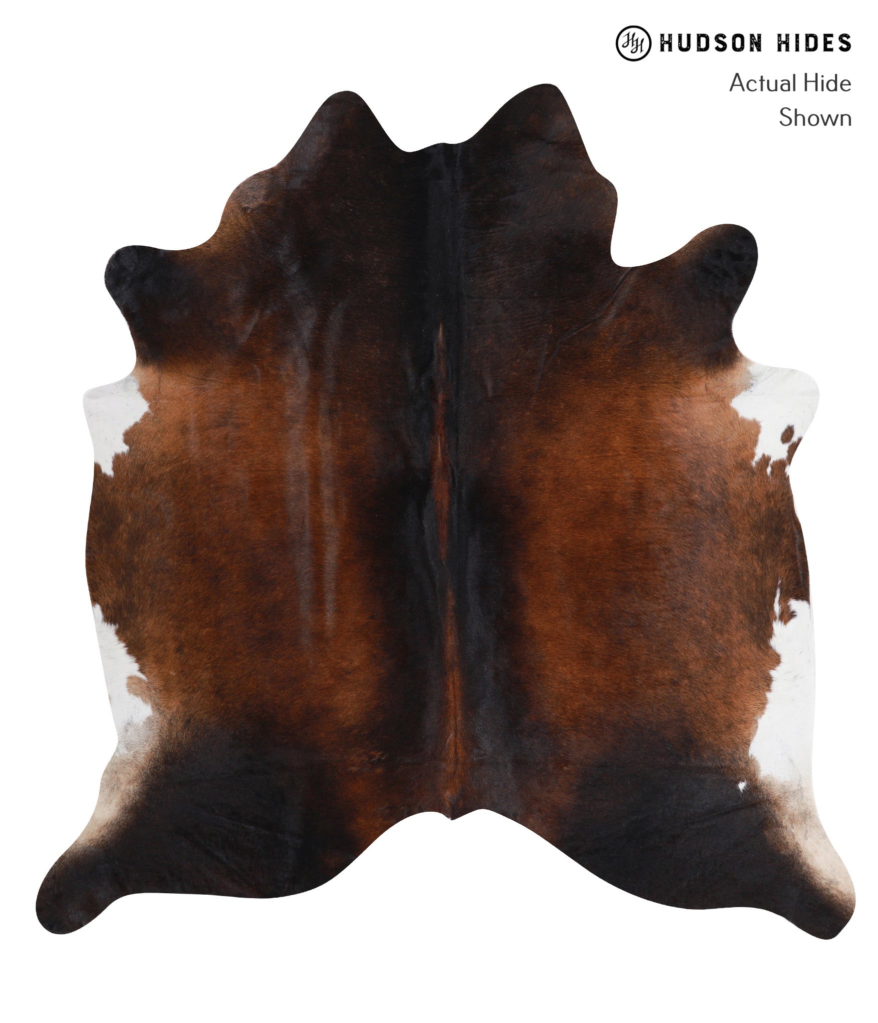 Brown with Red Cowhide Rug #A7949