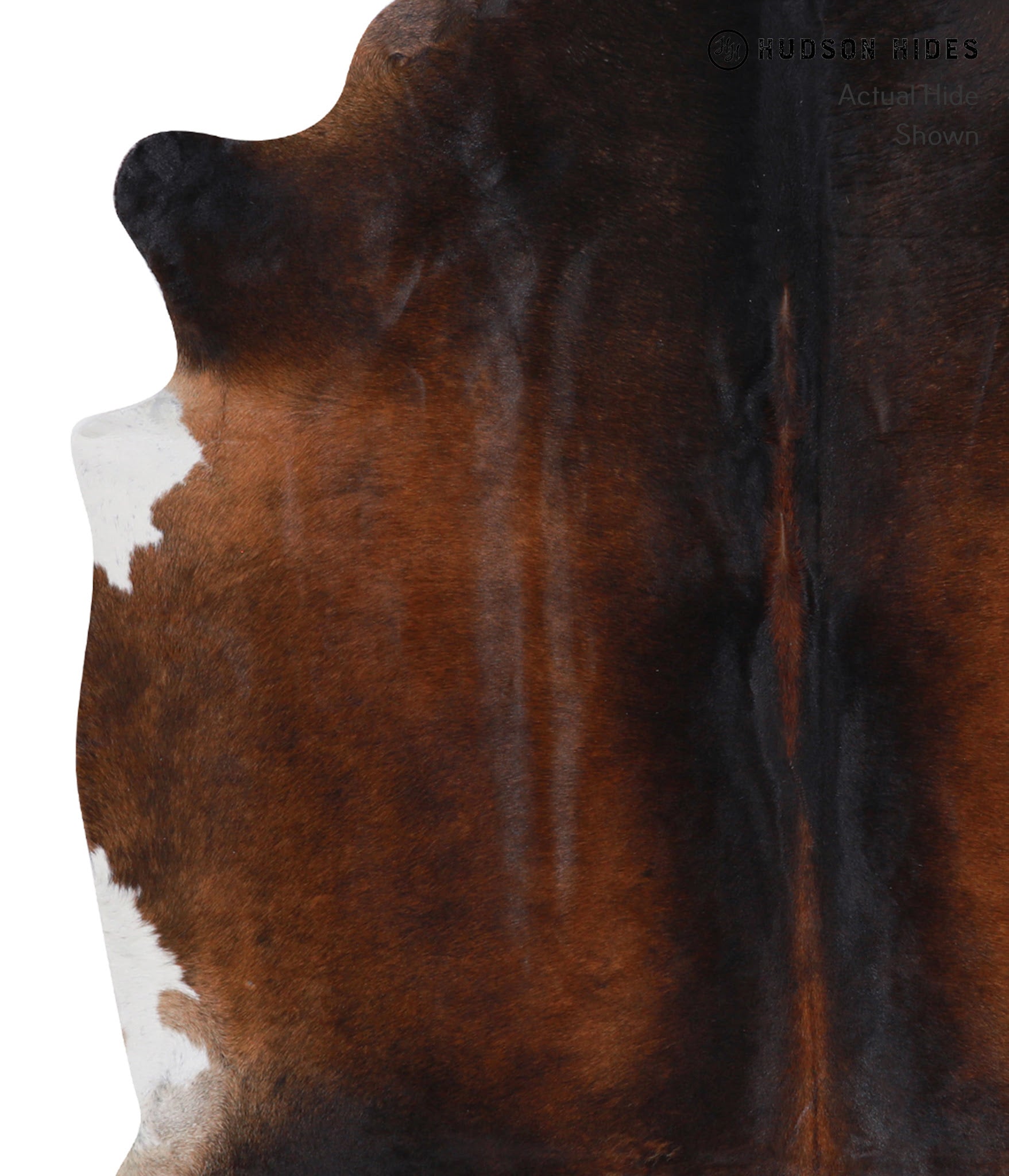 Brown with Red Cowhide Rug #A7949