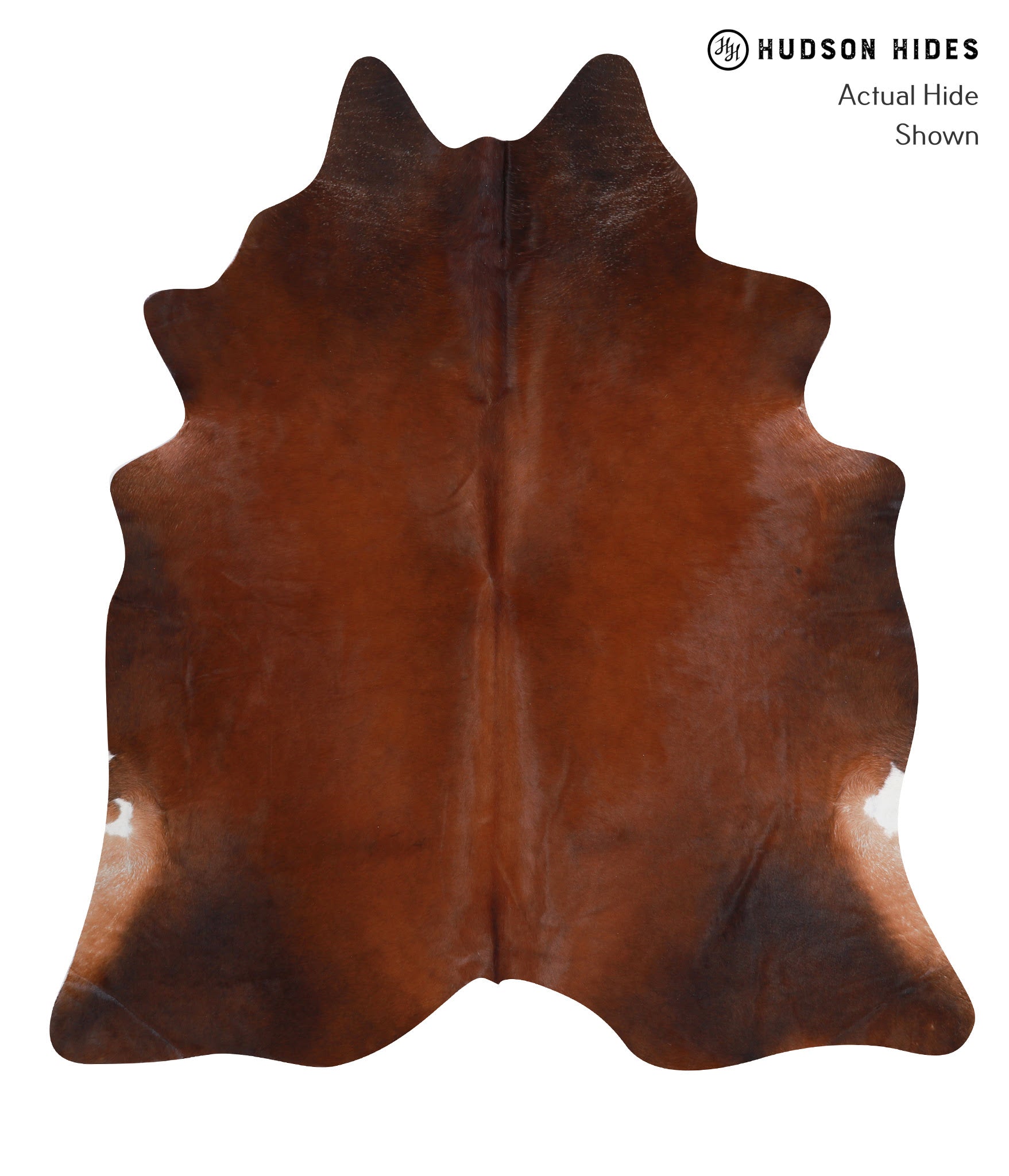 Brown with Red Cowhide Rug #A7951