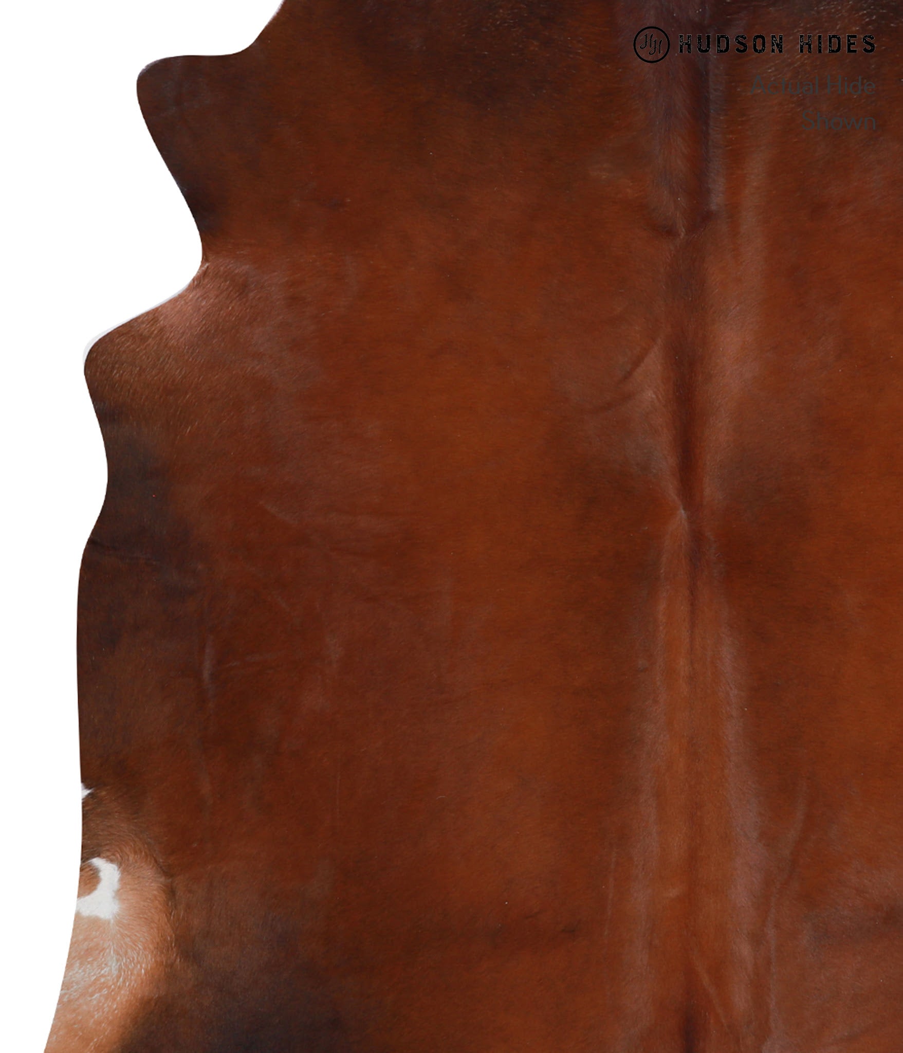 Brown with Red Cowhide Rug #A7951