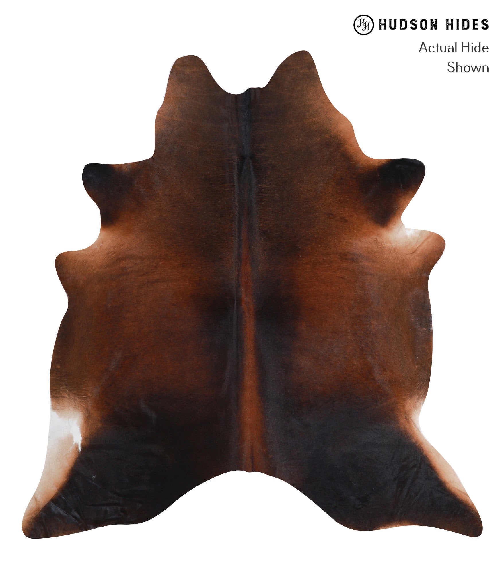 Brown with Red Cowhide Rug #A8043