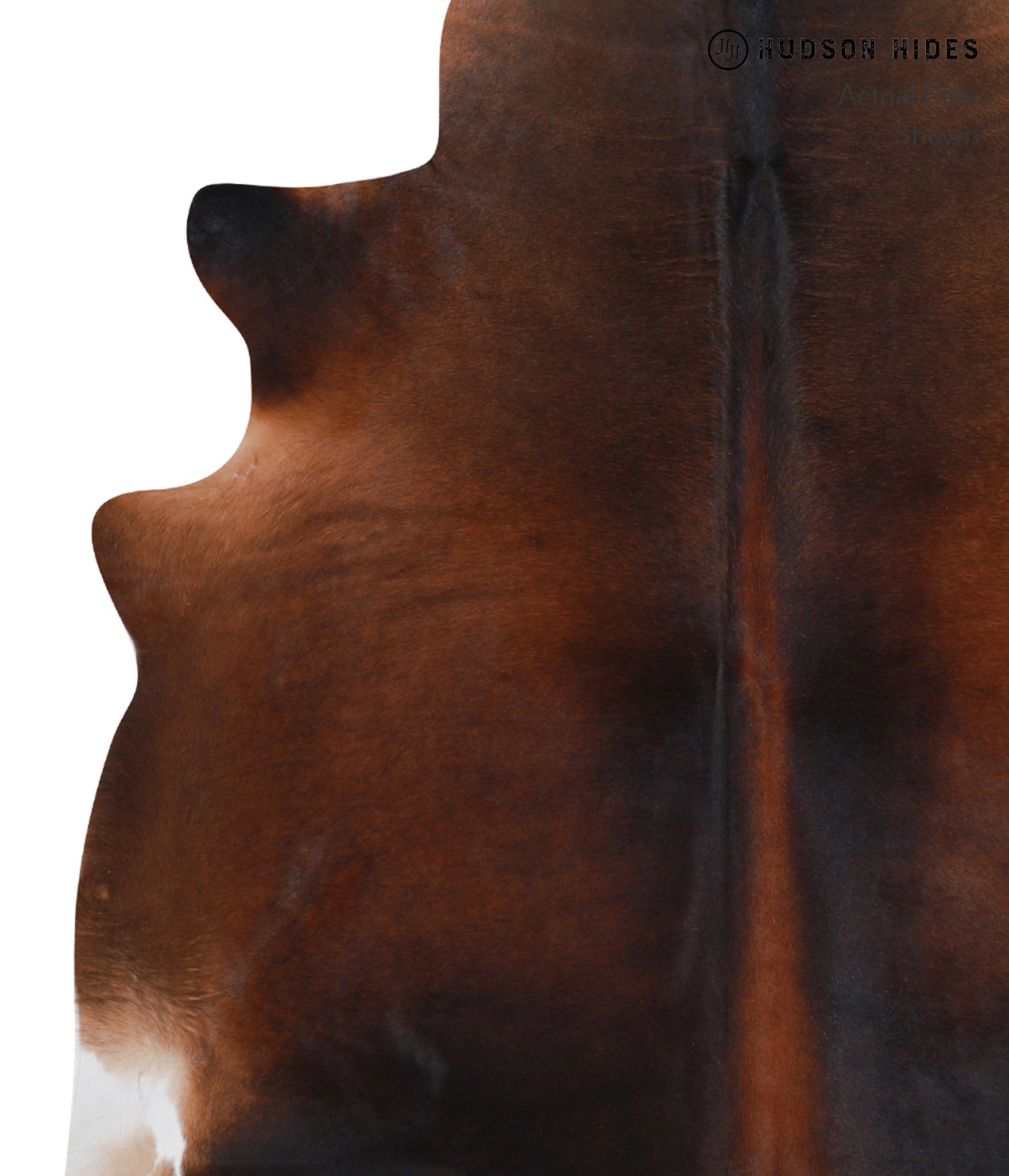 Brown with Red Cowhide Rug #A8043