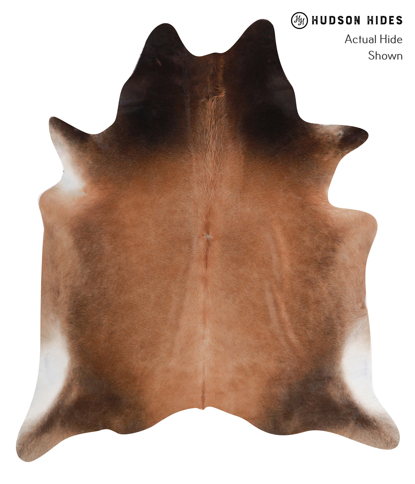 Brown with Red Cowhide Rug #A8055