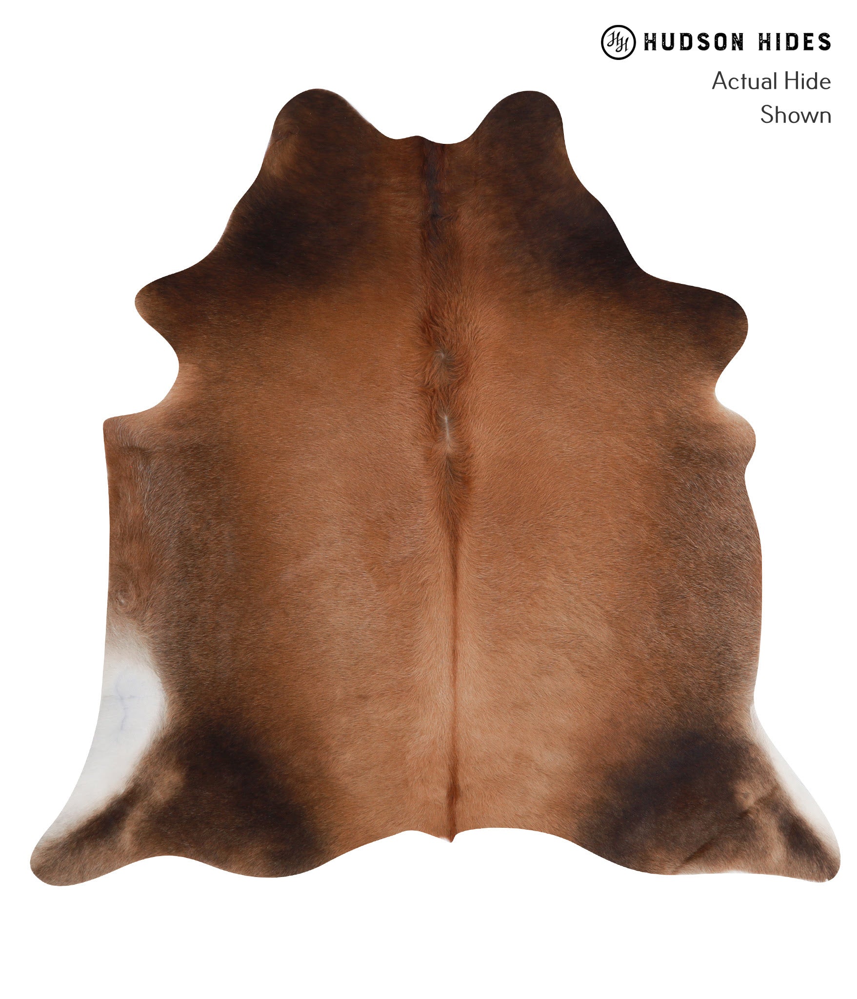 Brown with Red Cowhide Rug #A8075