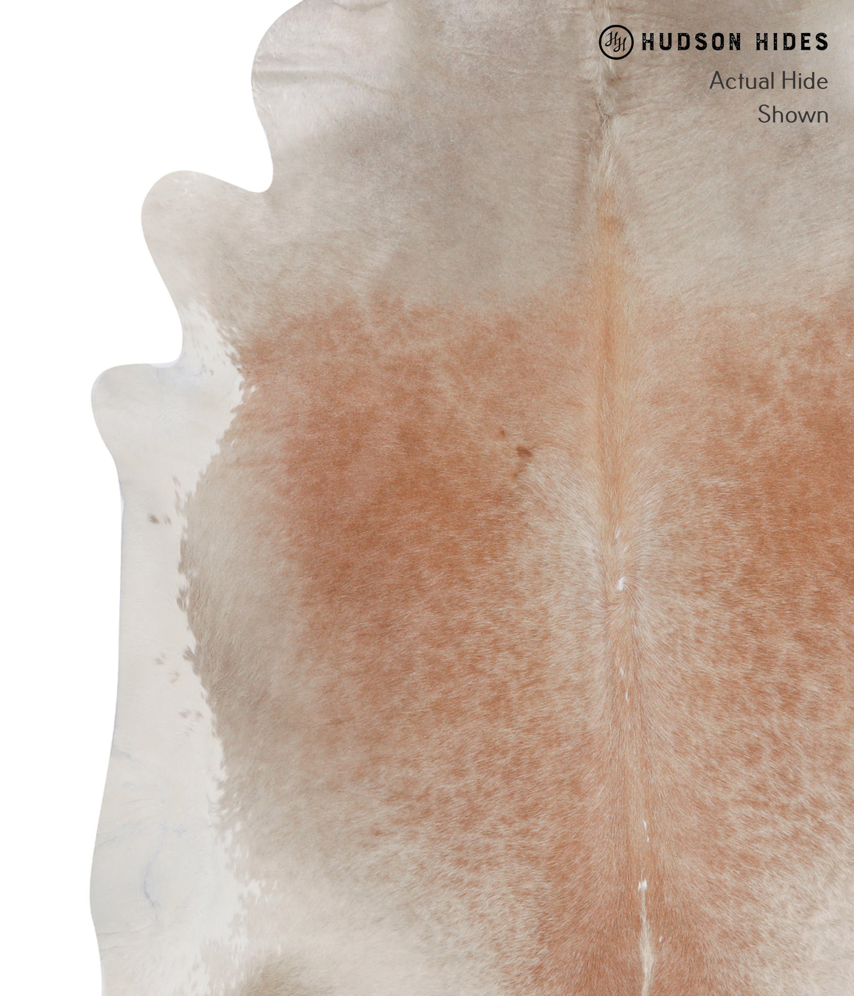 Caramel Cowhide Rug #A8173