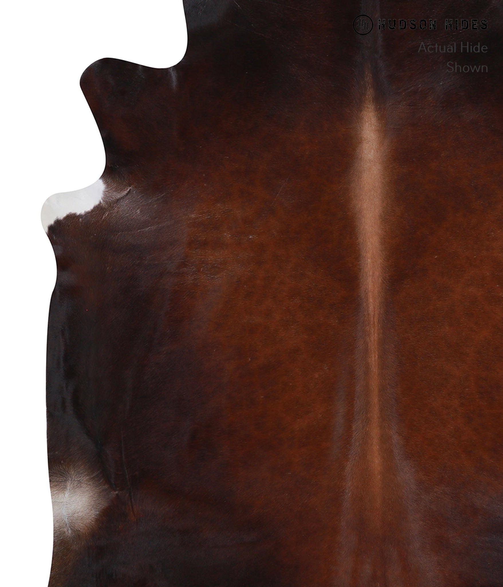 Brown with Red Cowhide Rug #A8174