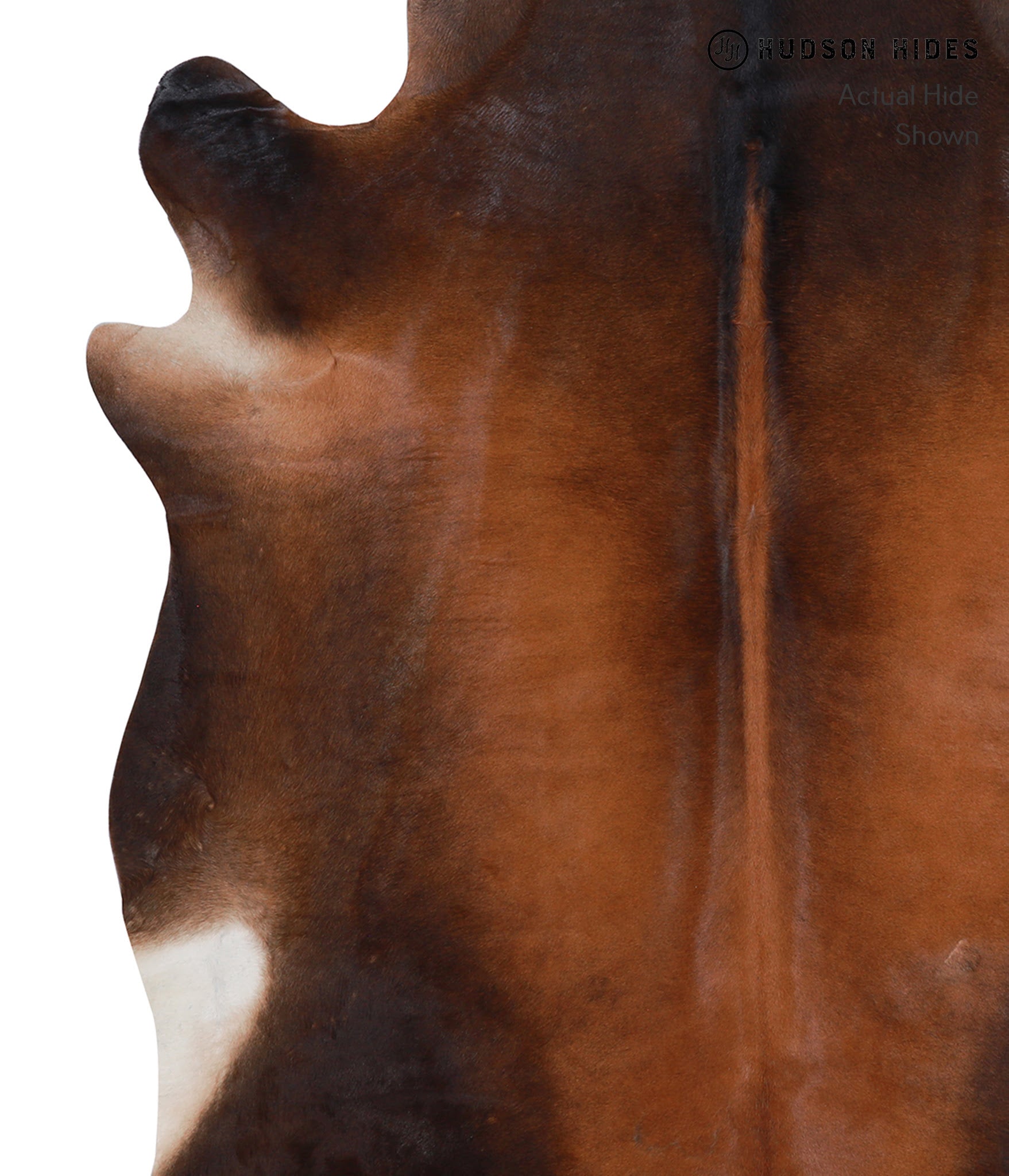 Brown with Red Cowhide Rug #A8233