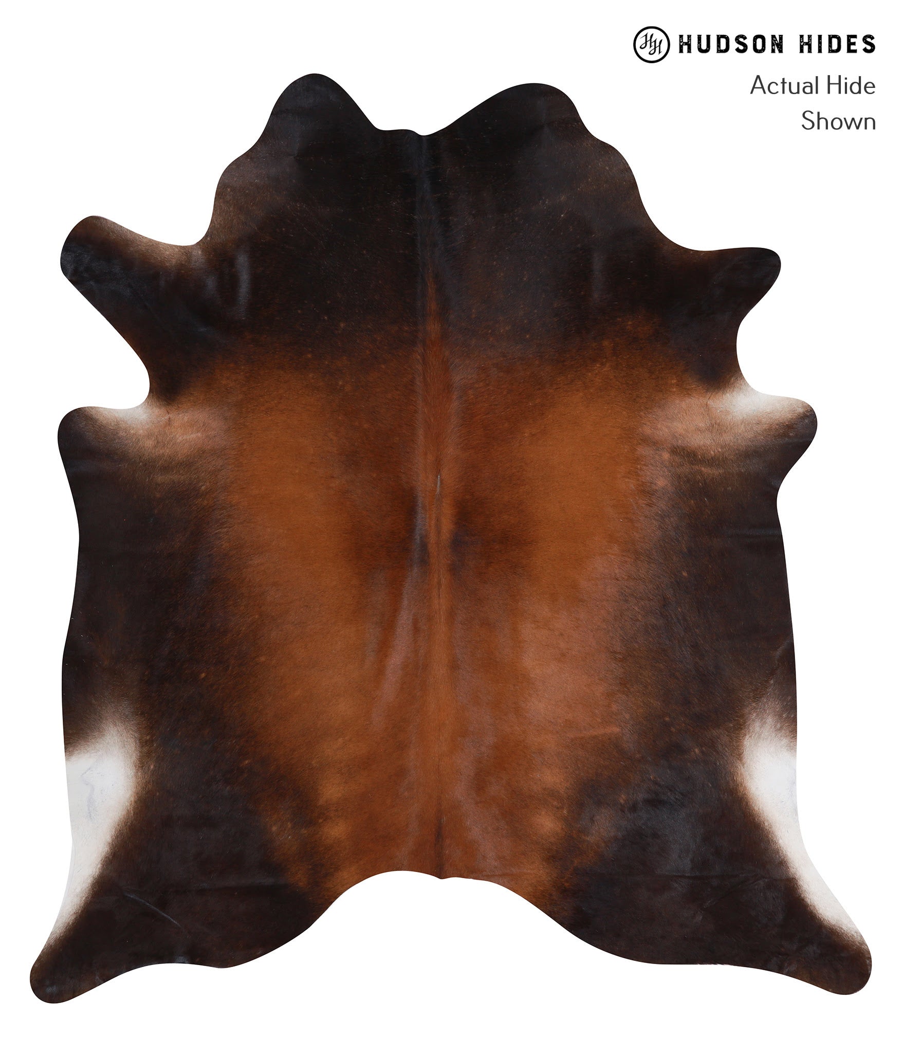 Brown with Red Cowhide Rug #A8239