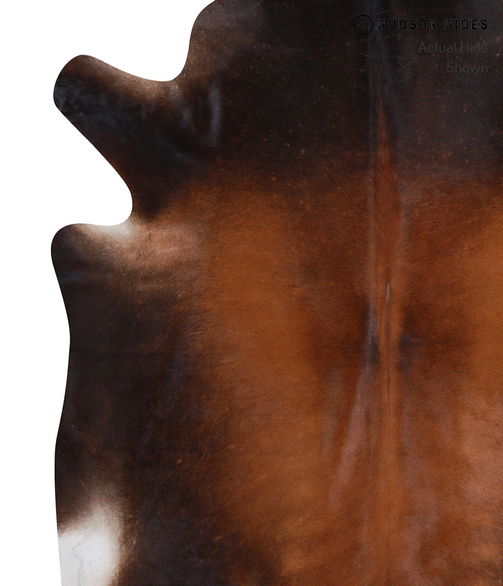 Brown with Red Cowhide Rug #A8239