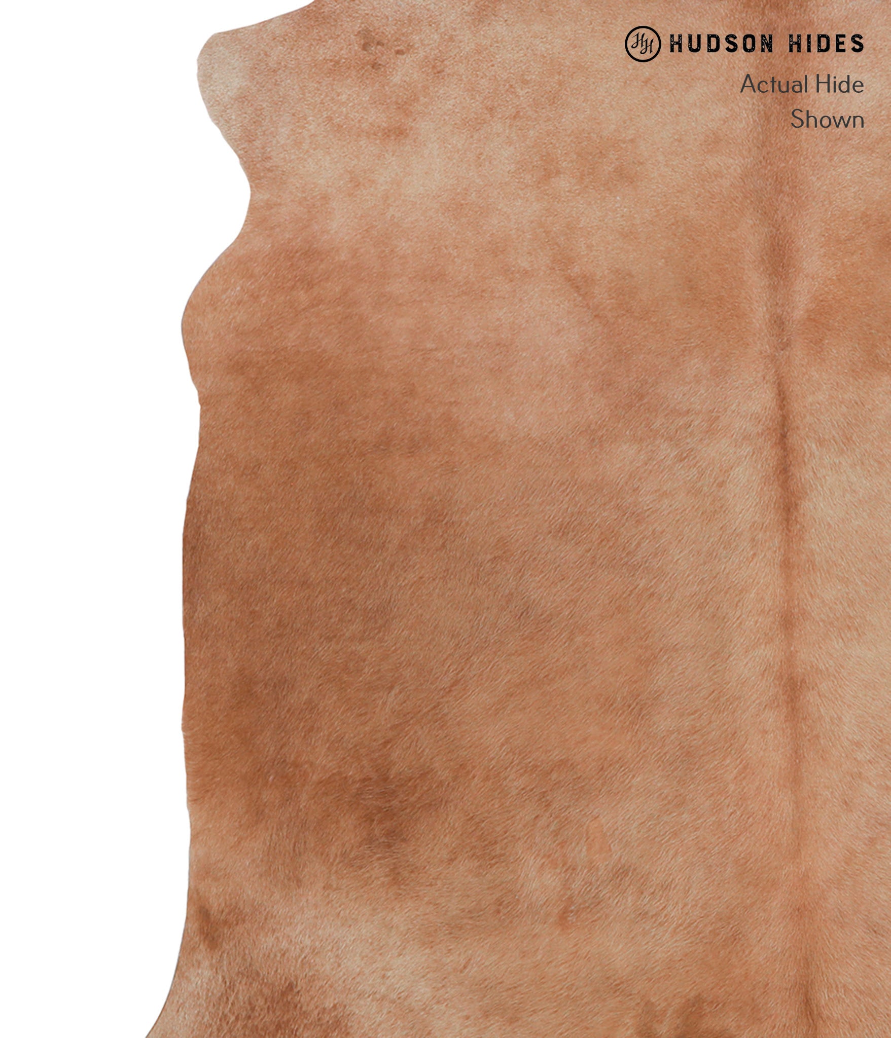 Solid Brown Cowhide Rug #A8254