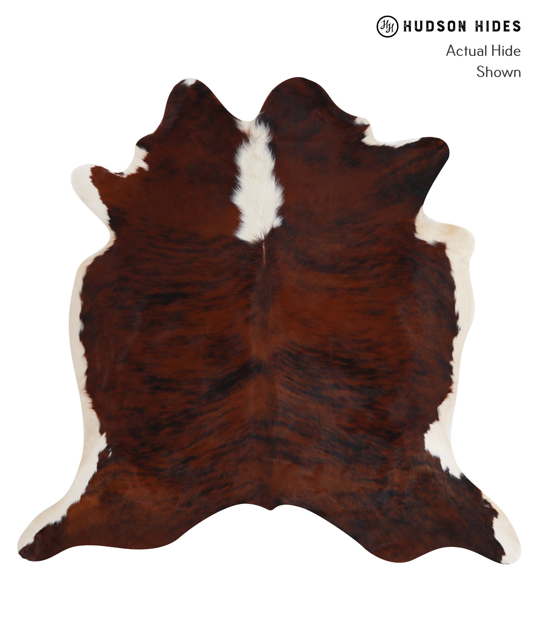 Tricolor Cowhide Rug #A8279