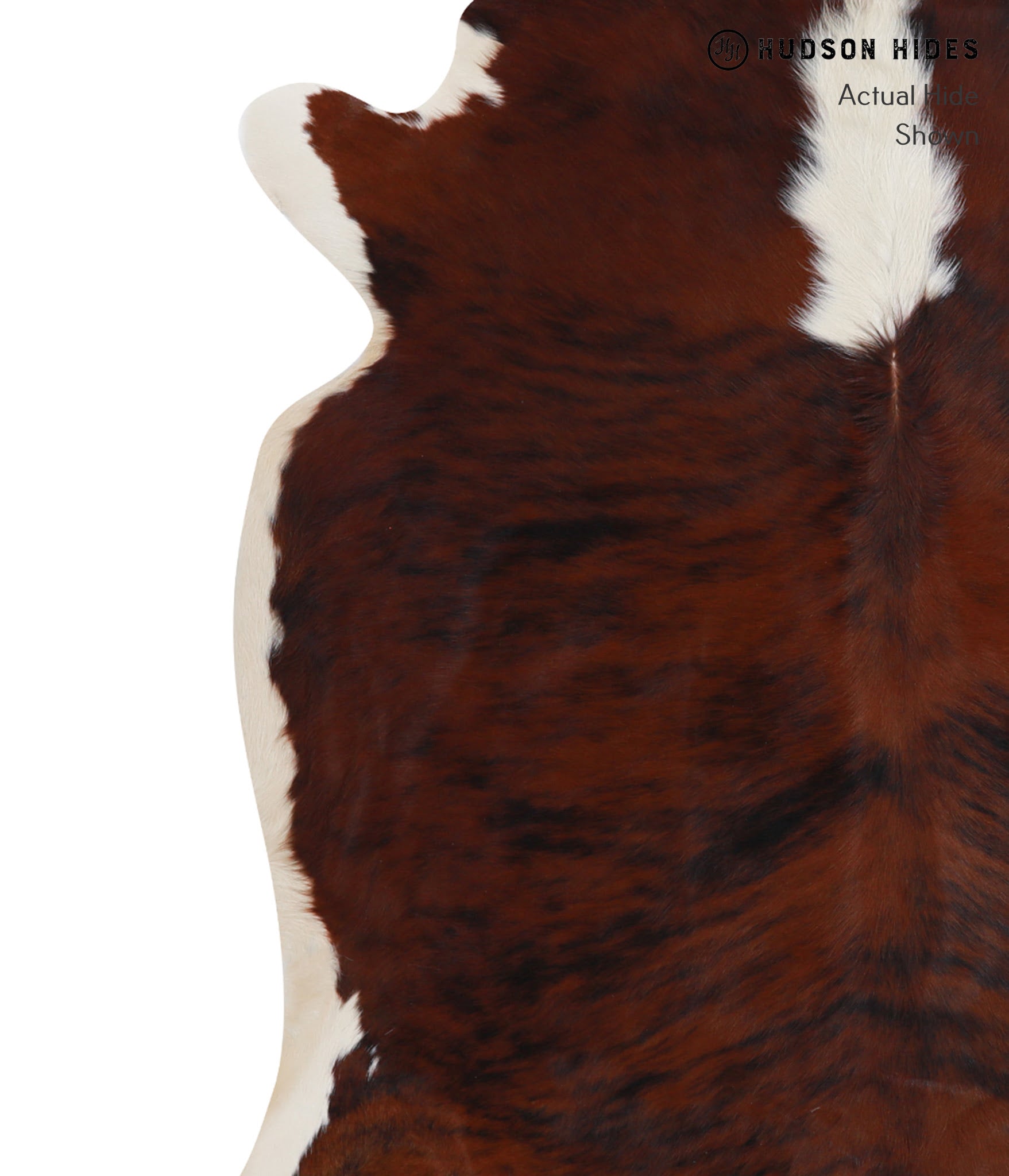 Tricolor Cowhide Rug #A8279