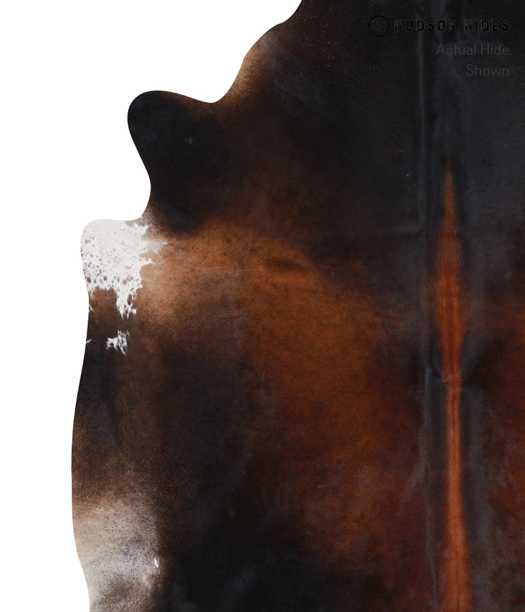 Brown with Red Cowhide Rug #A8286