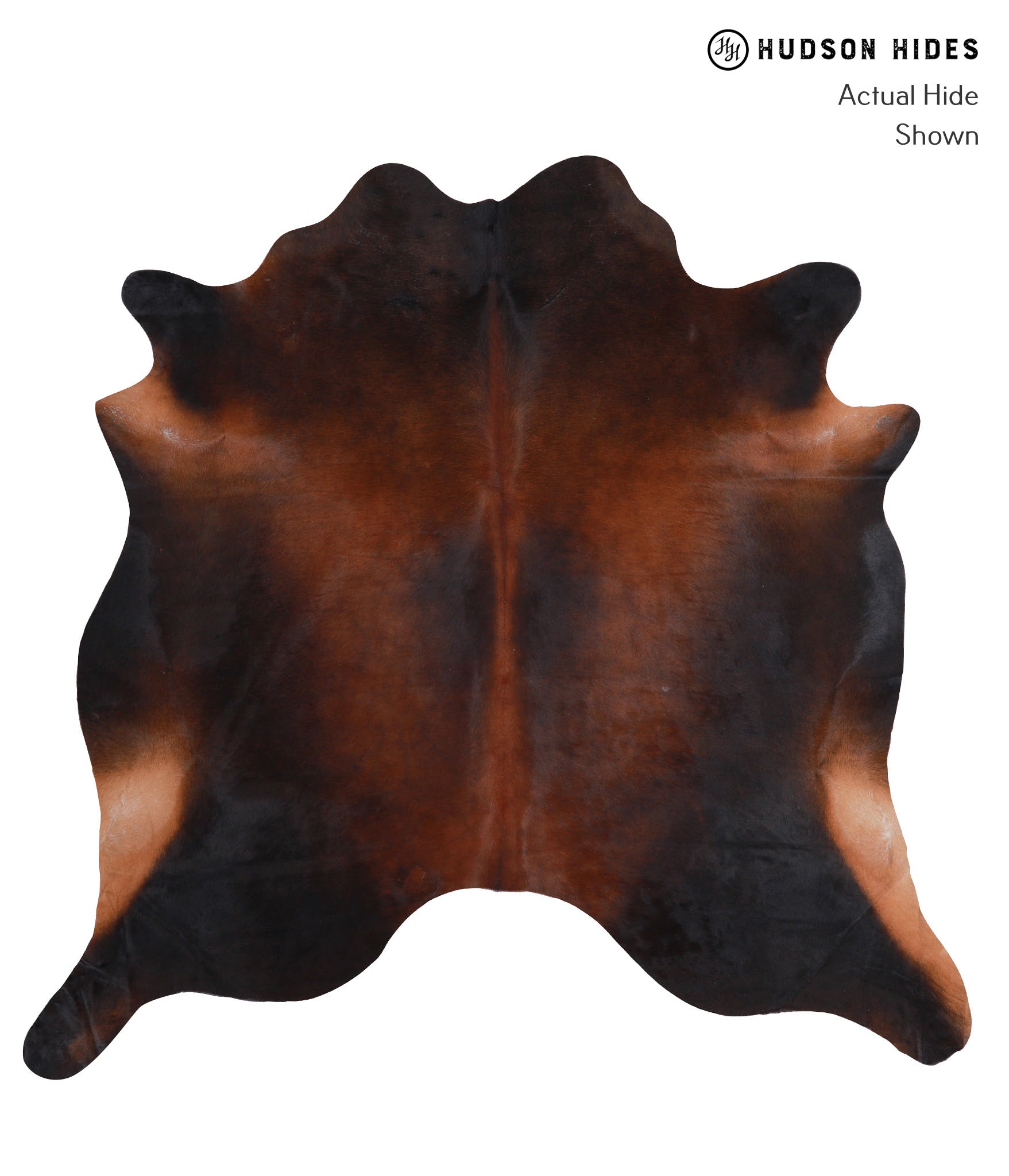 Brown with Red Cowhide Rug #A8333