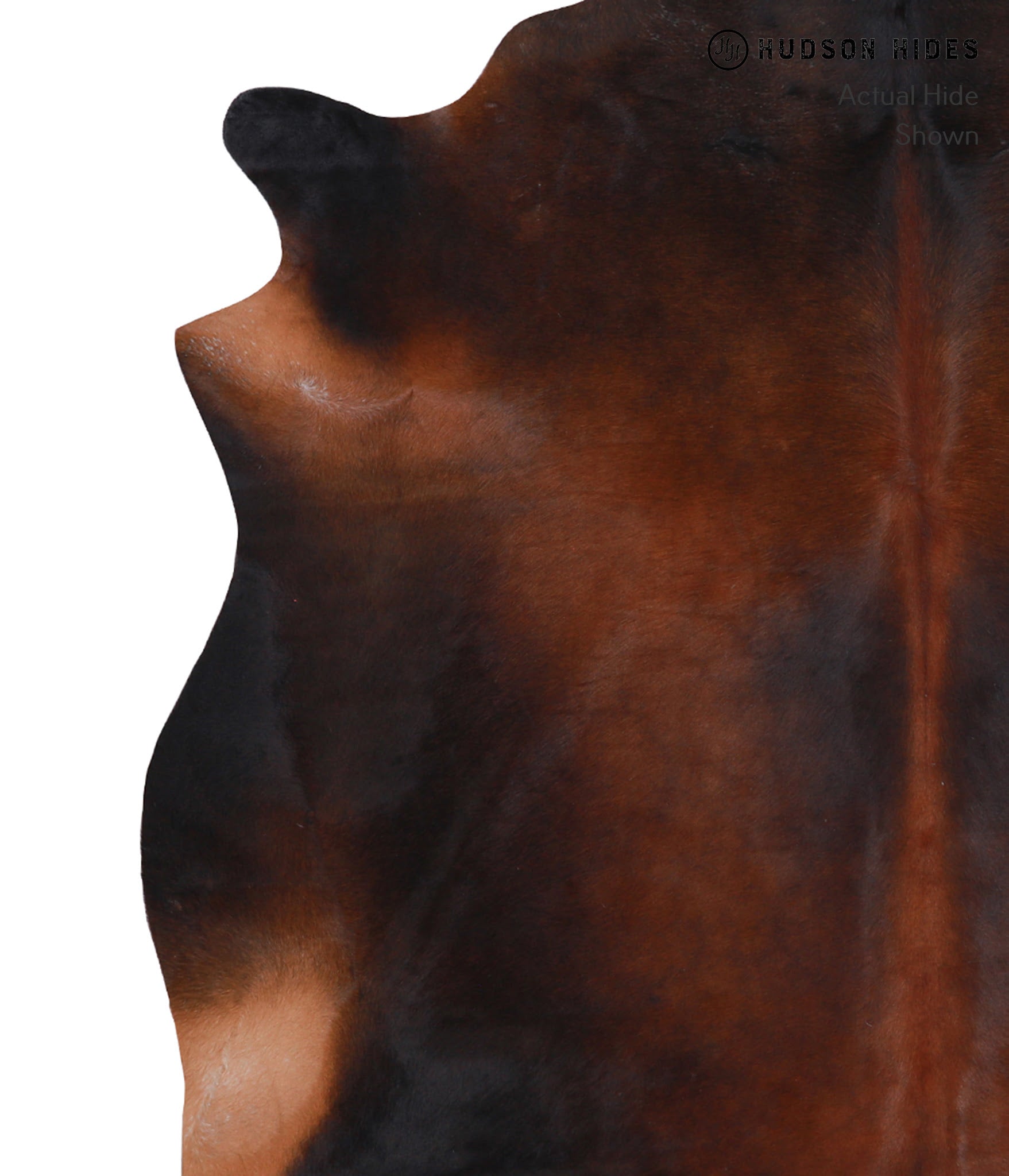 Brown with Red Cowhide Rug #A8333