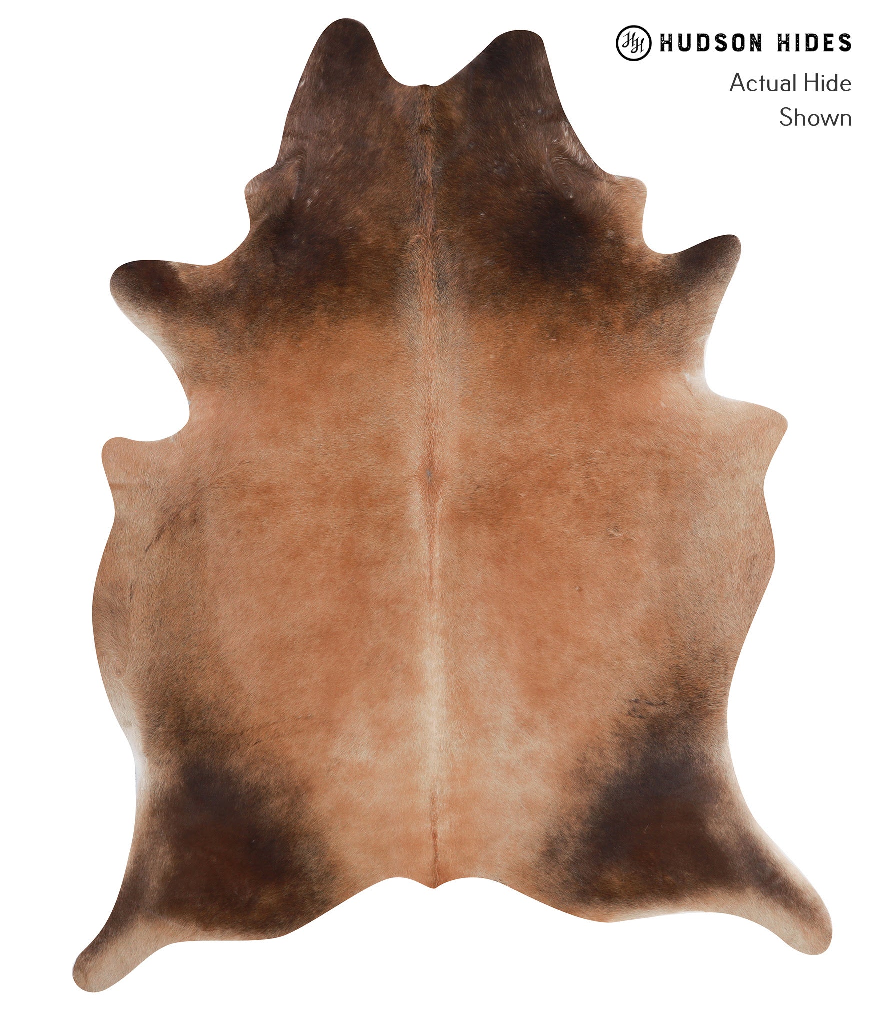 Brown with Red Cowhide Rug #A8407