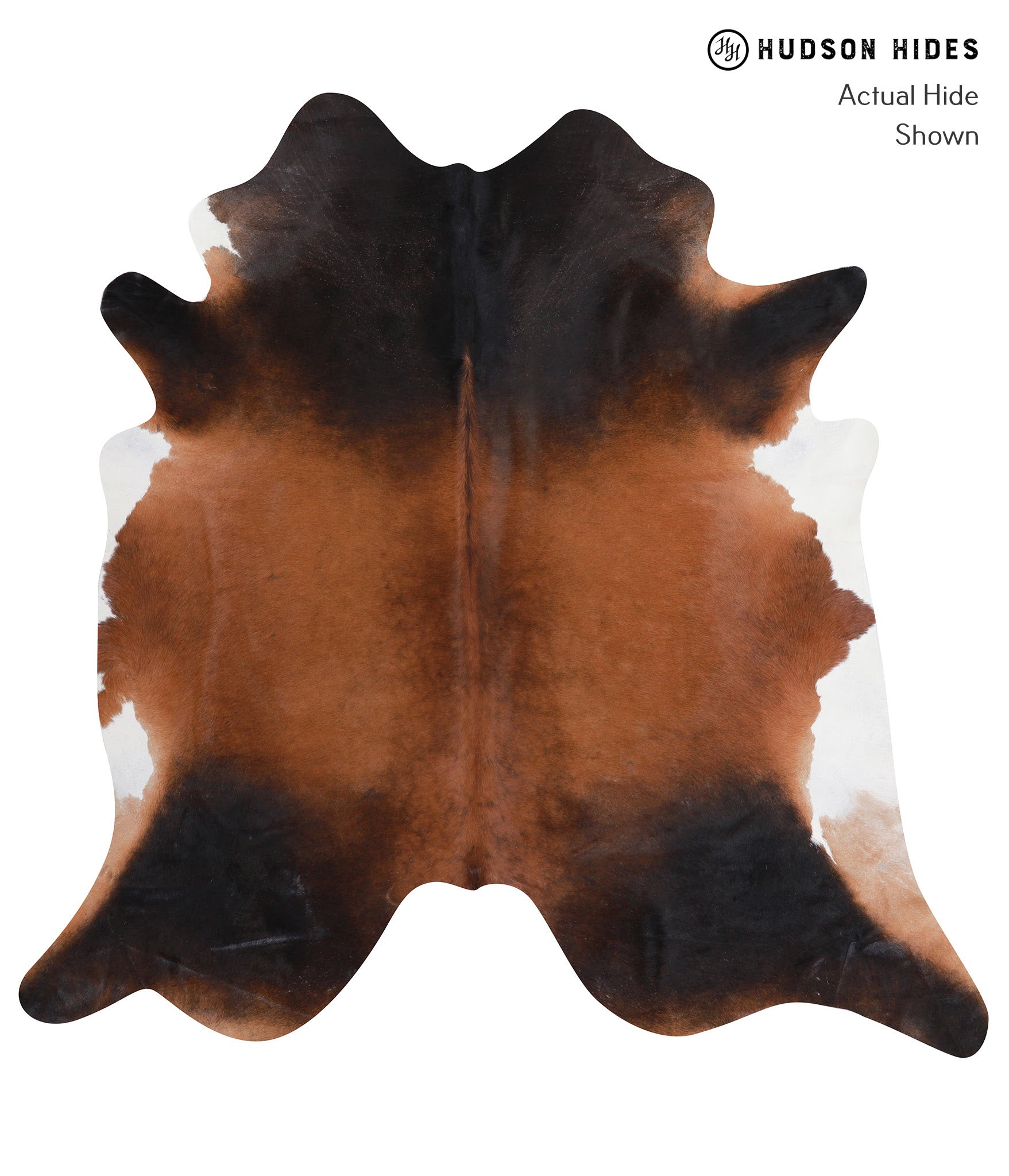 Brown with Red Cowhide Rug #A8417