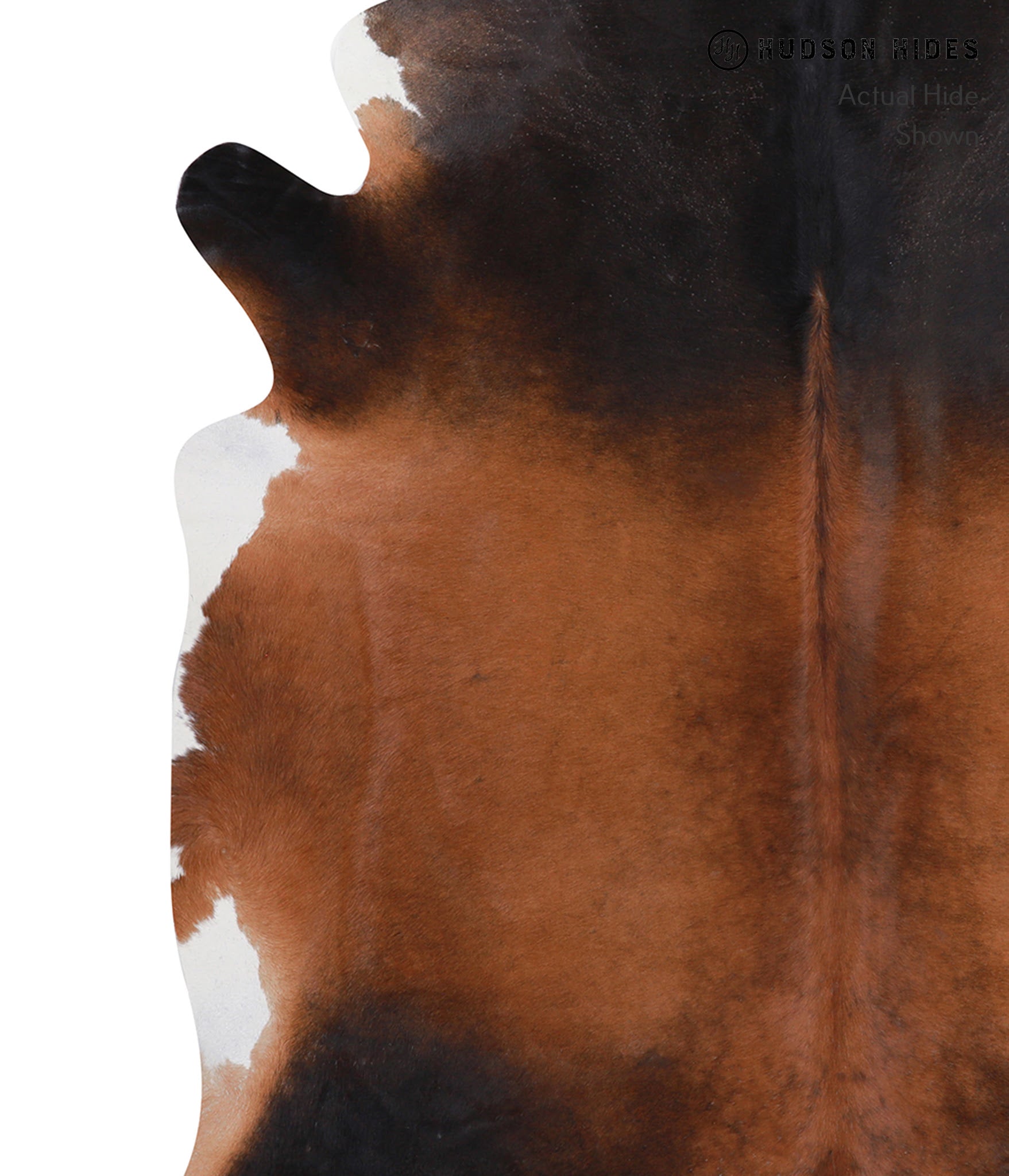 Brown with Red Cowhide Rug #A8417