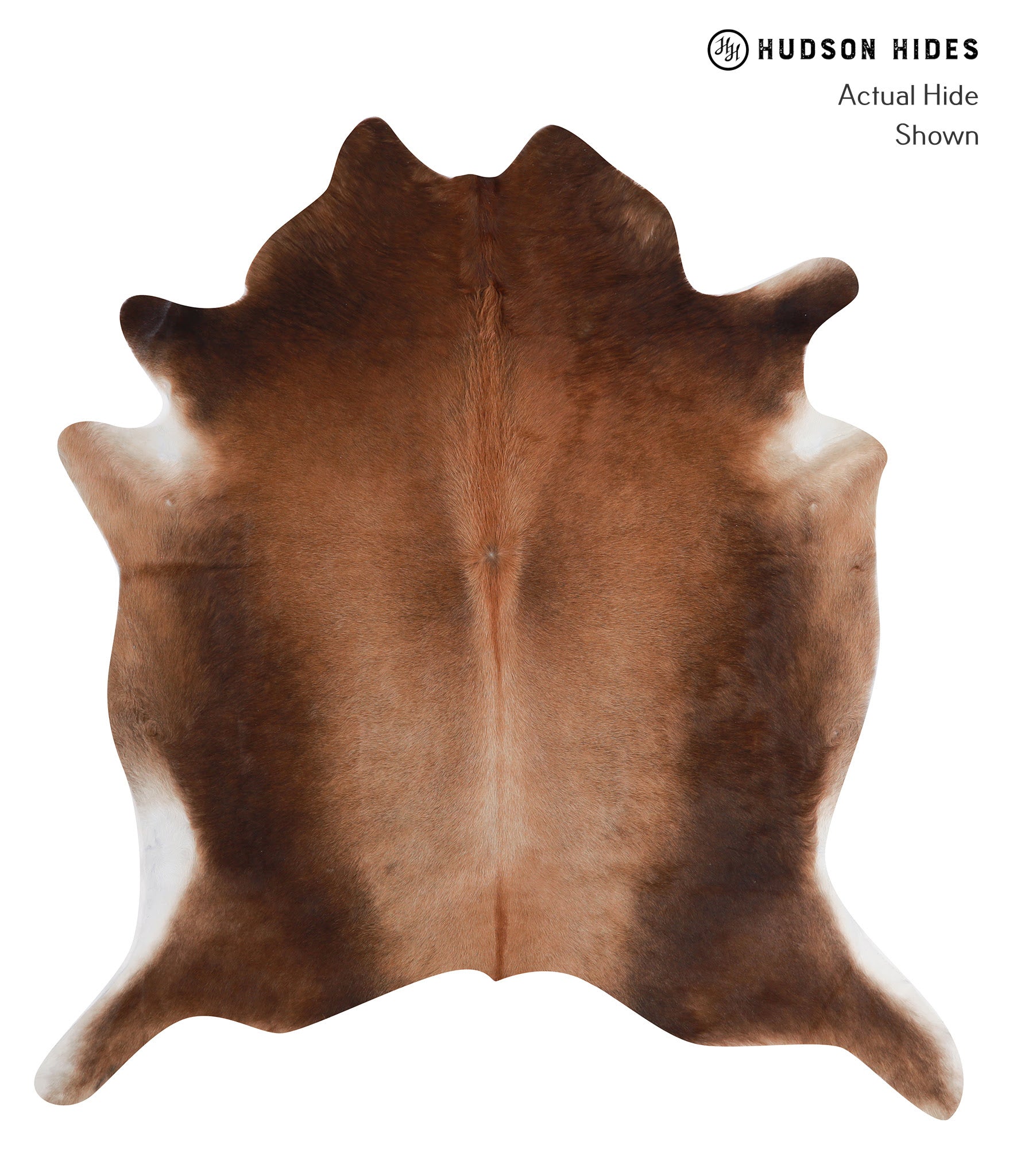 Brown with Red Cowhide Rug #A8428