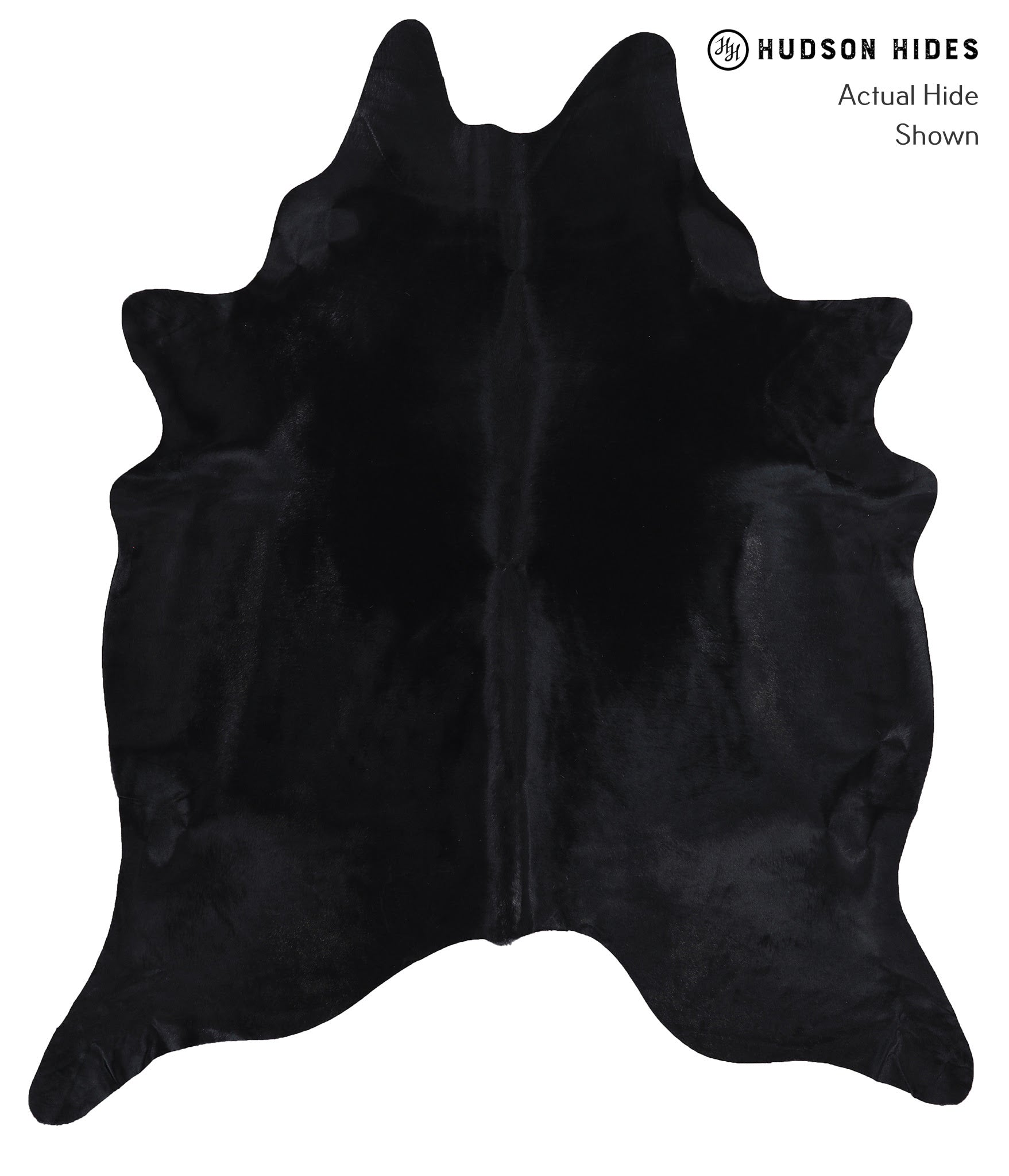 Dyed Cowhide Rug #A8612