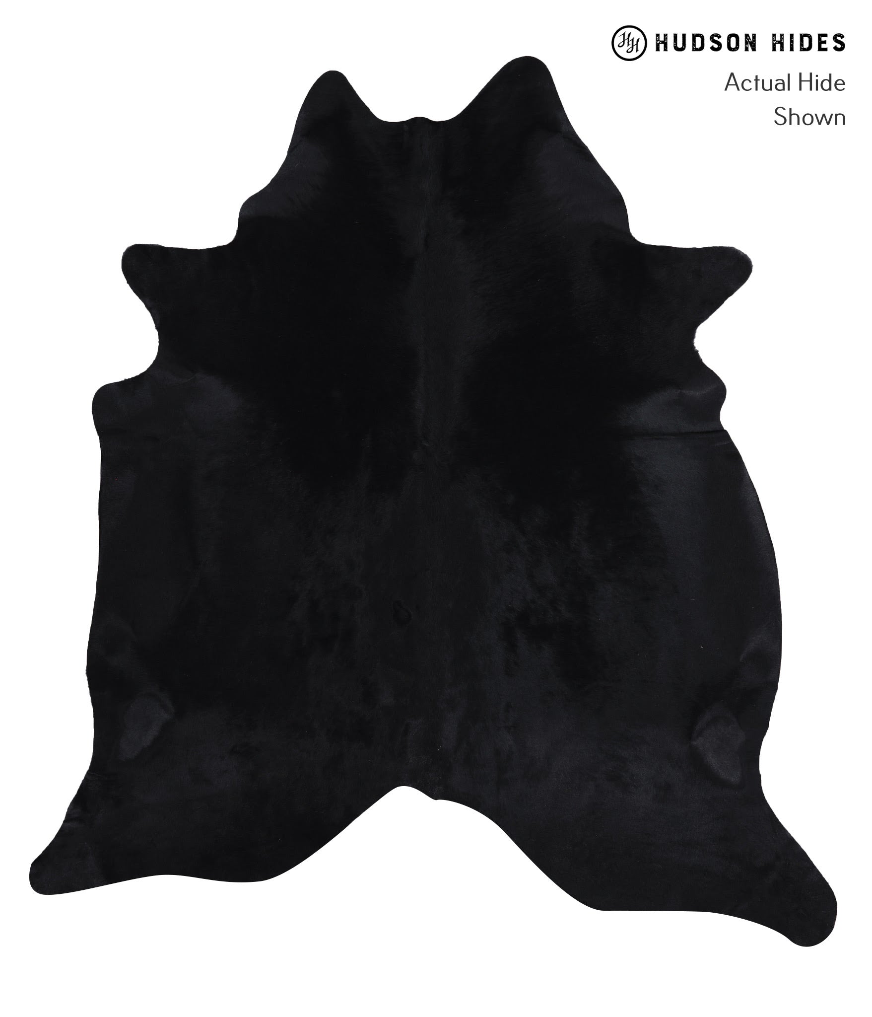 Dyed Cowhide Rug #A8659