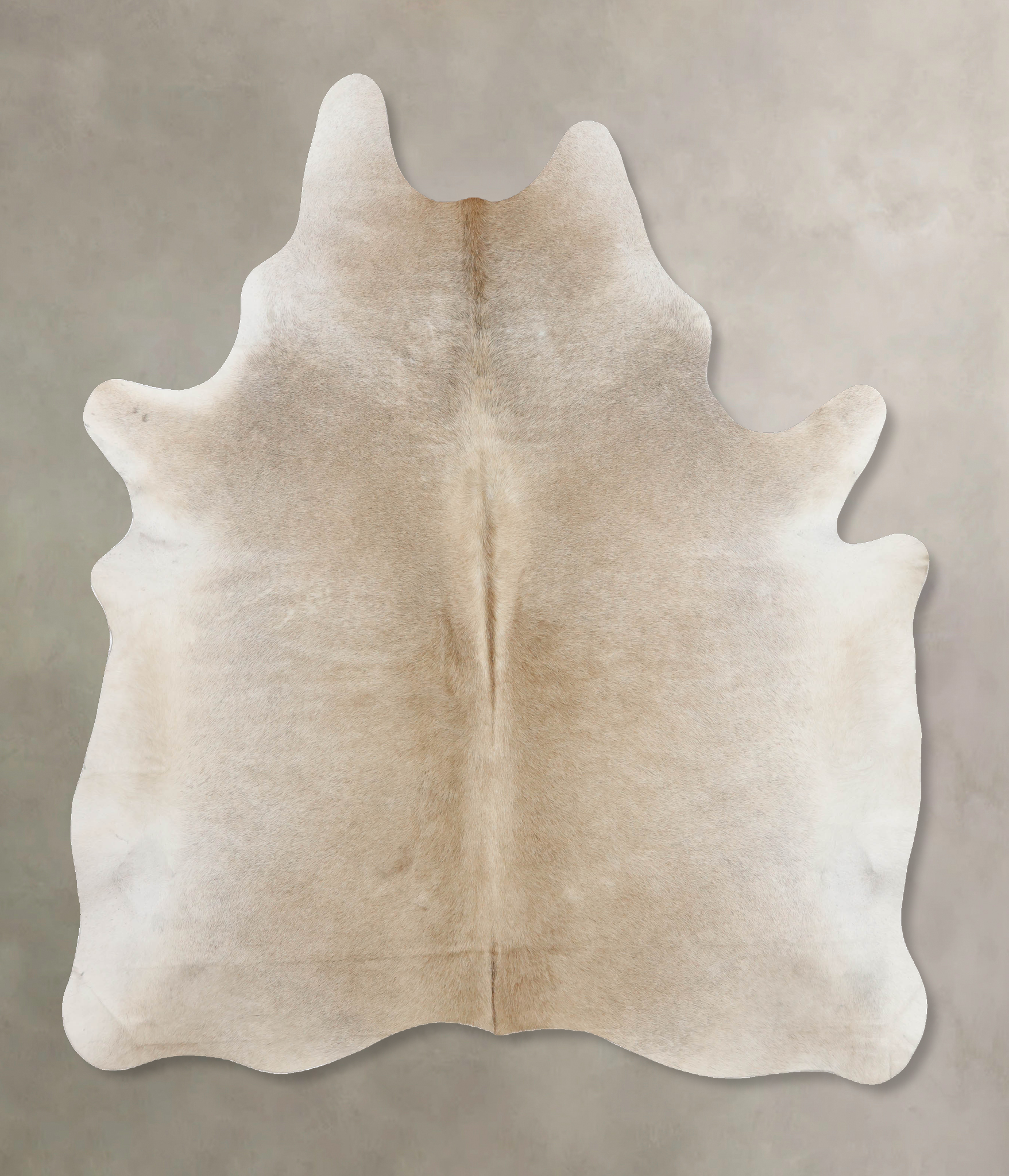 Grey with Beige Cowhide Rug #B10039