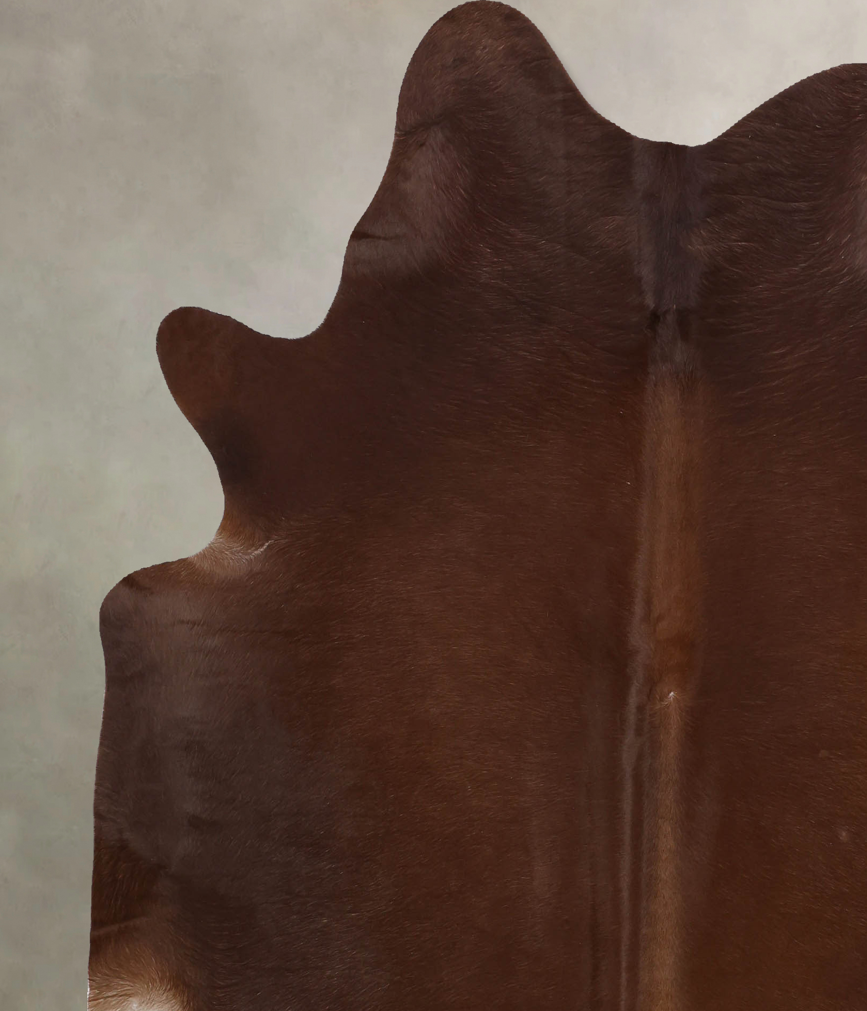 Solid Brown Cowhide Rug #B10058