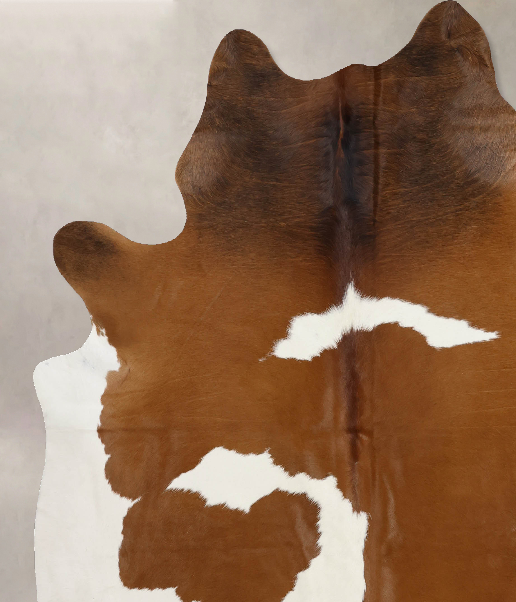 Brown and White Cowhide Rug #B10093