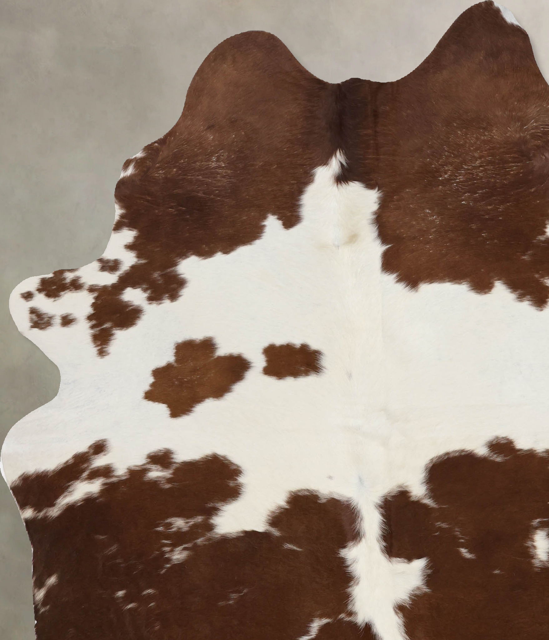 Brown and White Cowhide Rug #B10095