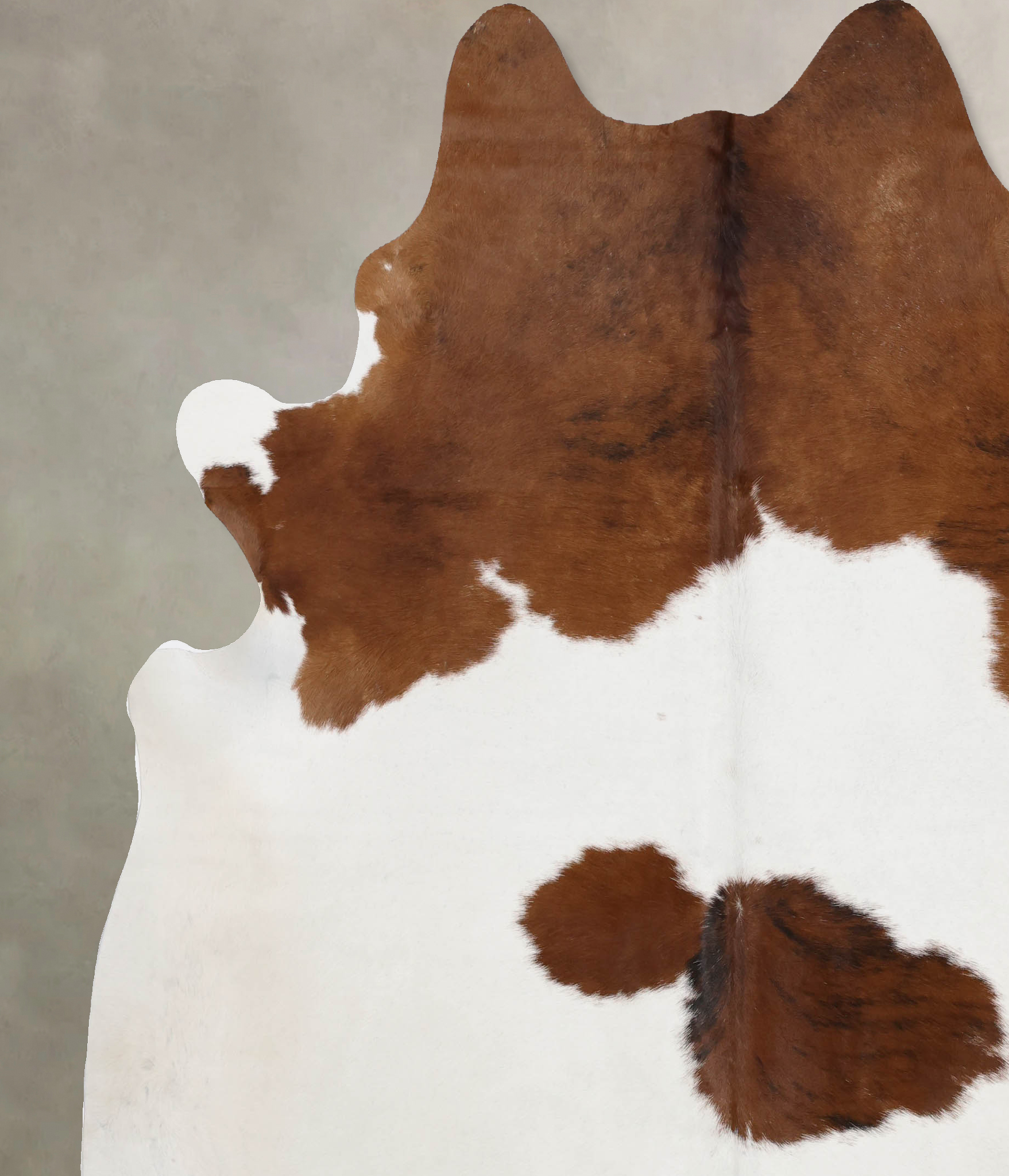 Brown and White Cowhide Rug #B10097