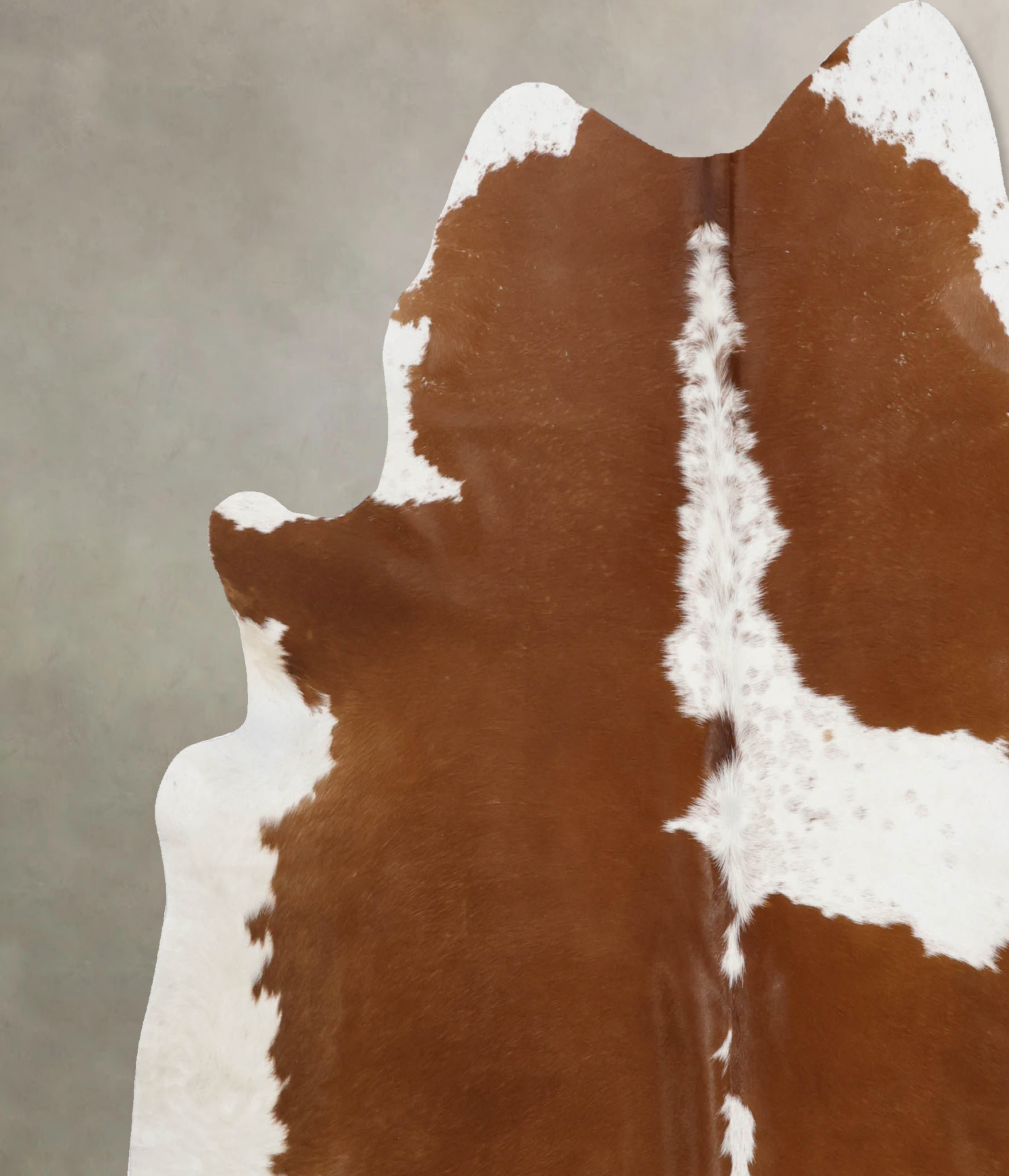 Brown and White Cowhide Rug #B10144