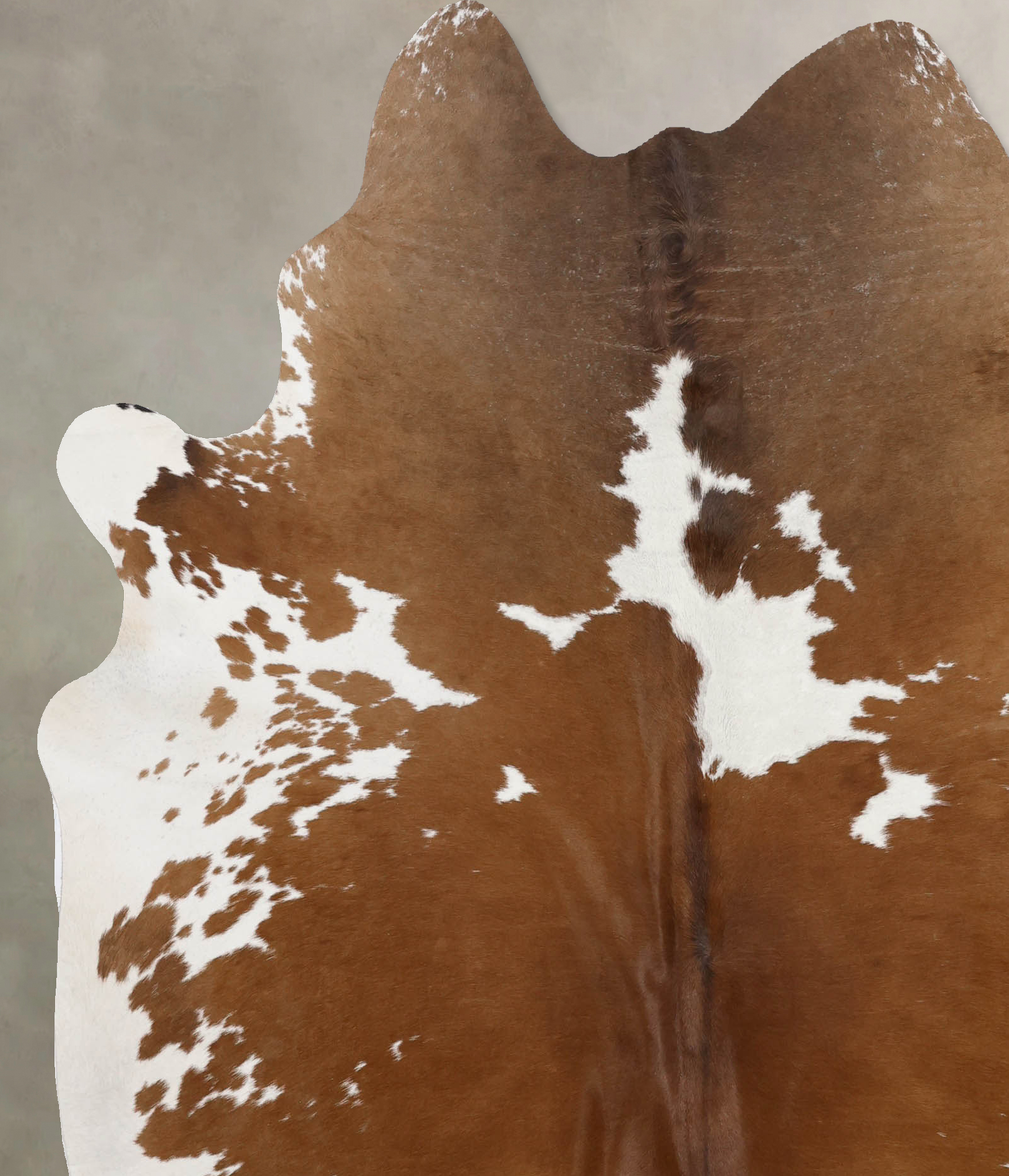 Brown and White Cowhide Rug #B10147