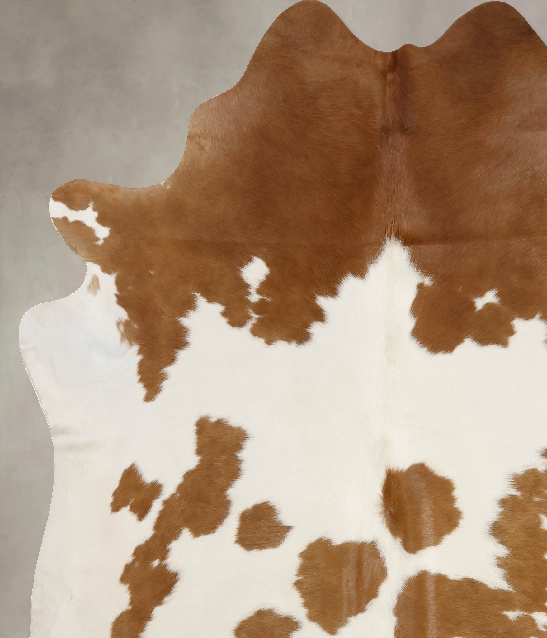 Brown and White Cowhide Rug #B10150