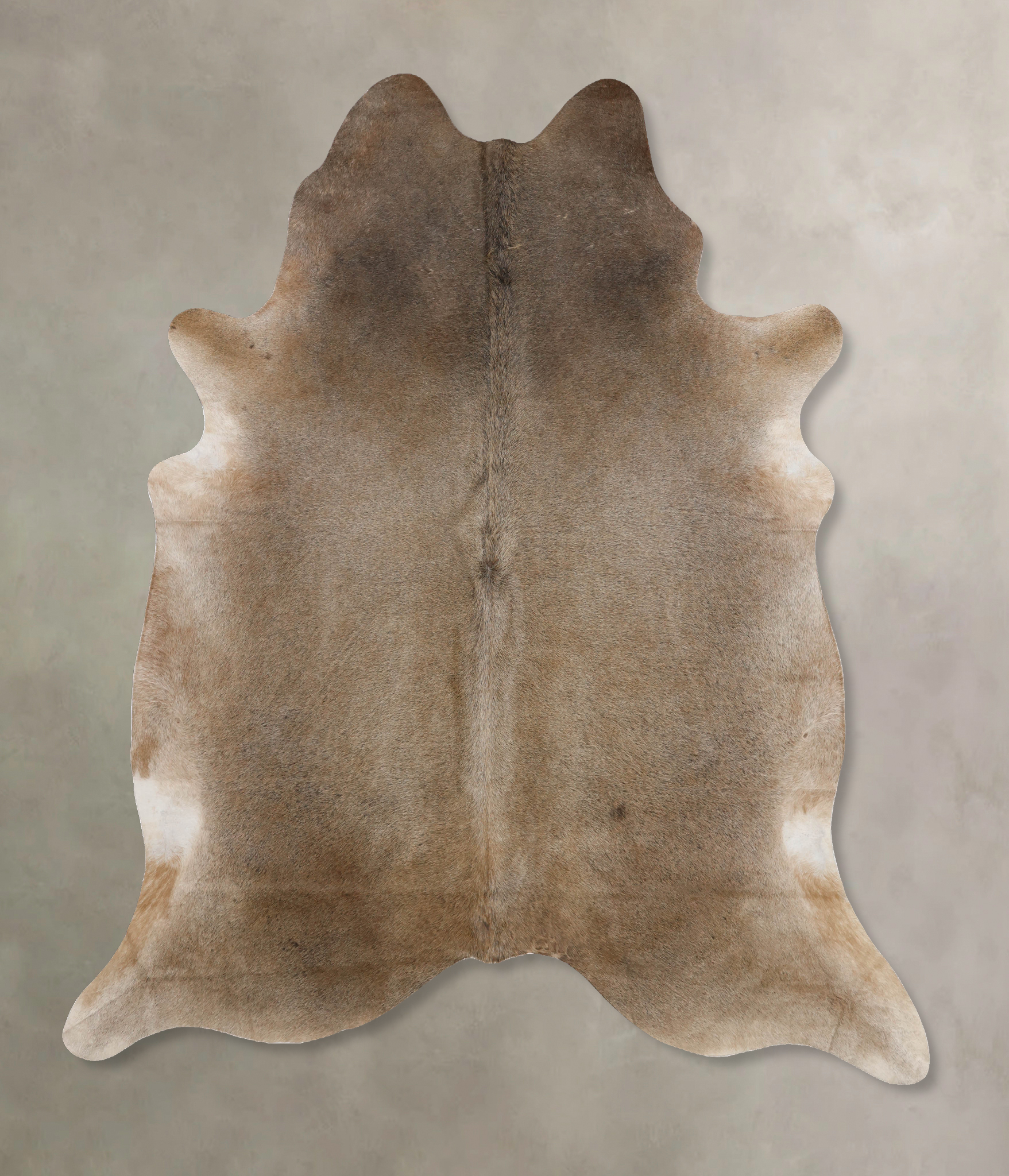 Grey with Beige Cowhide Rug #B10206