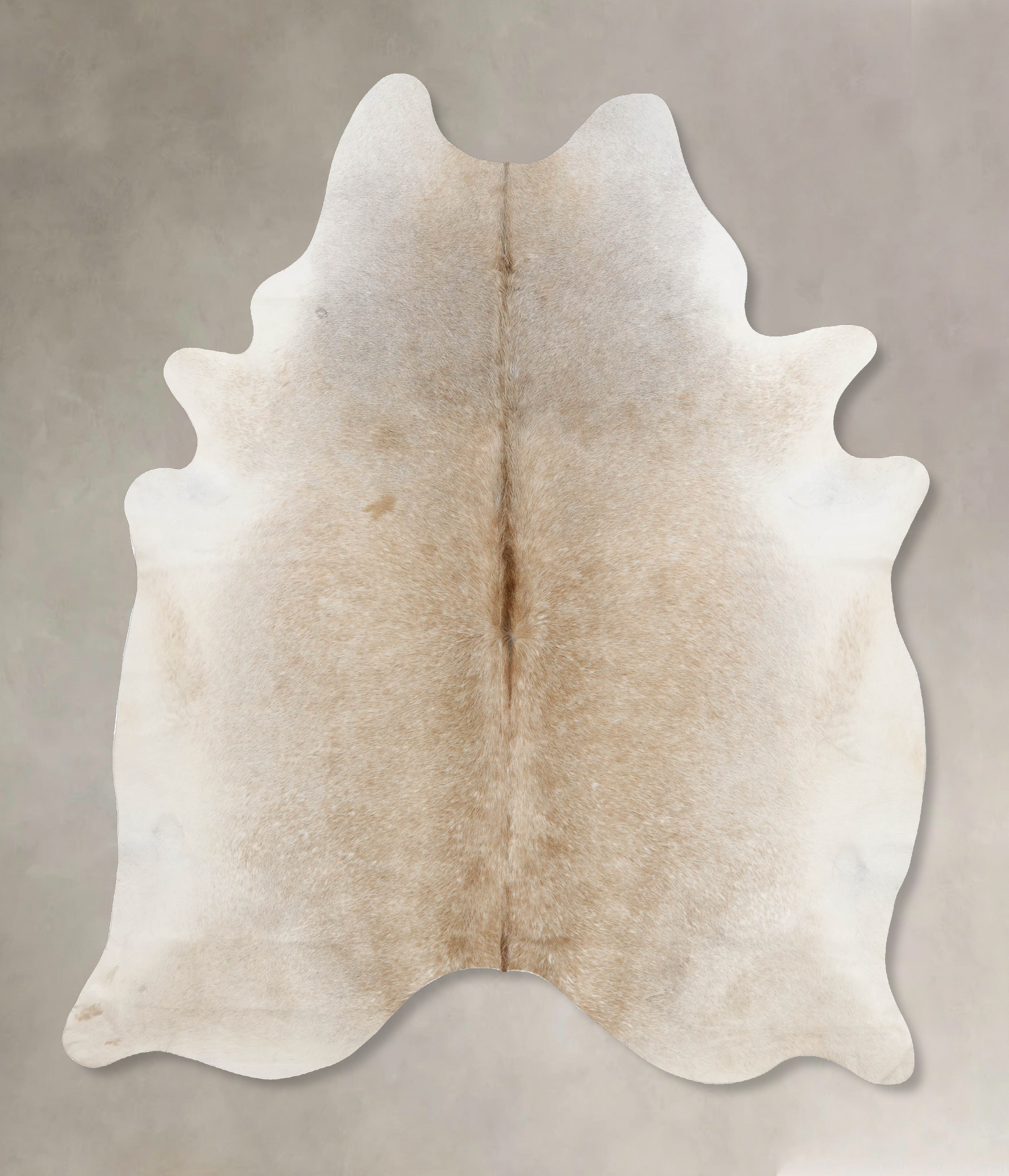 Grey with Beige Cowhide Rug #B10228