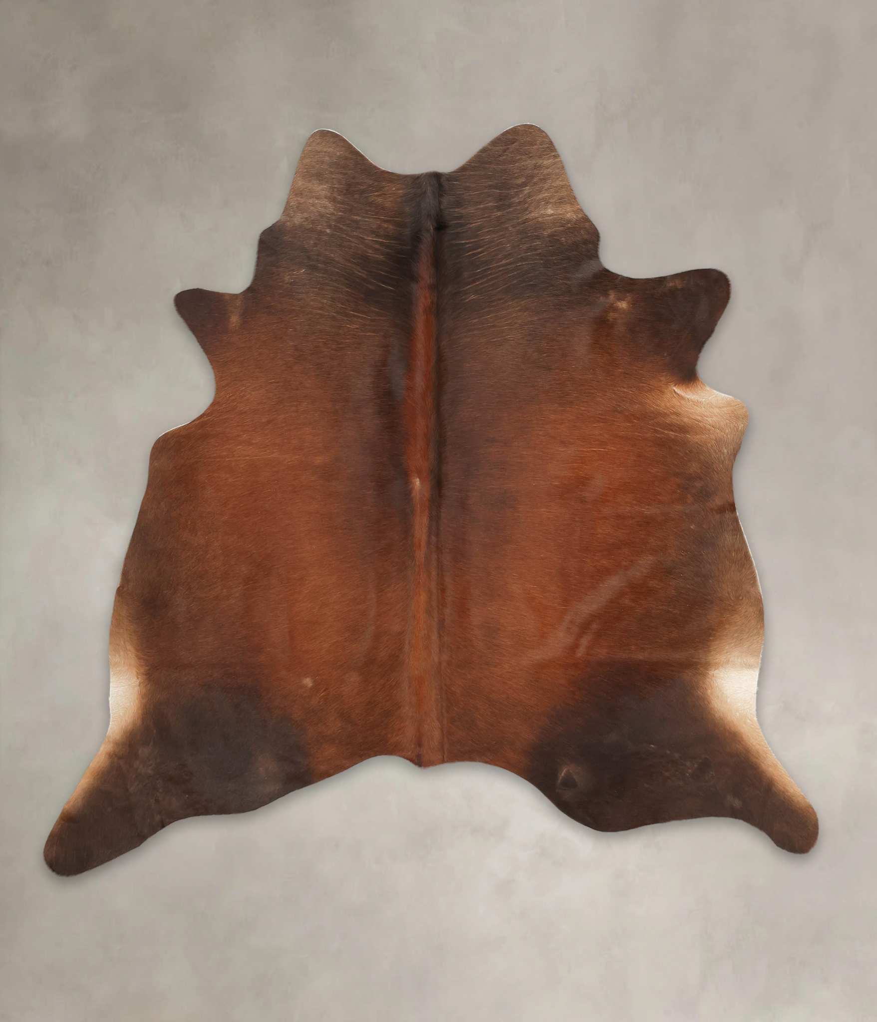 Brown with Red Cowhide Rug #B1024