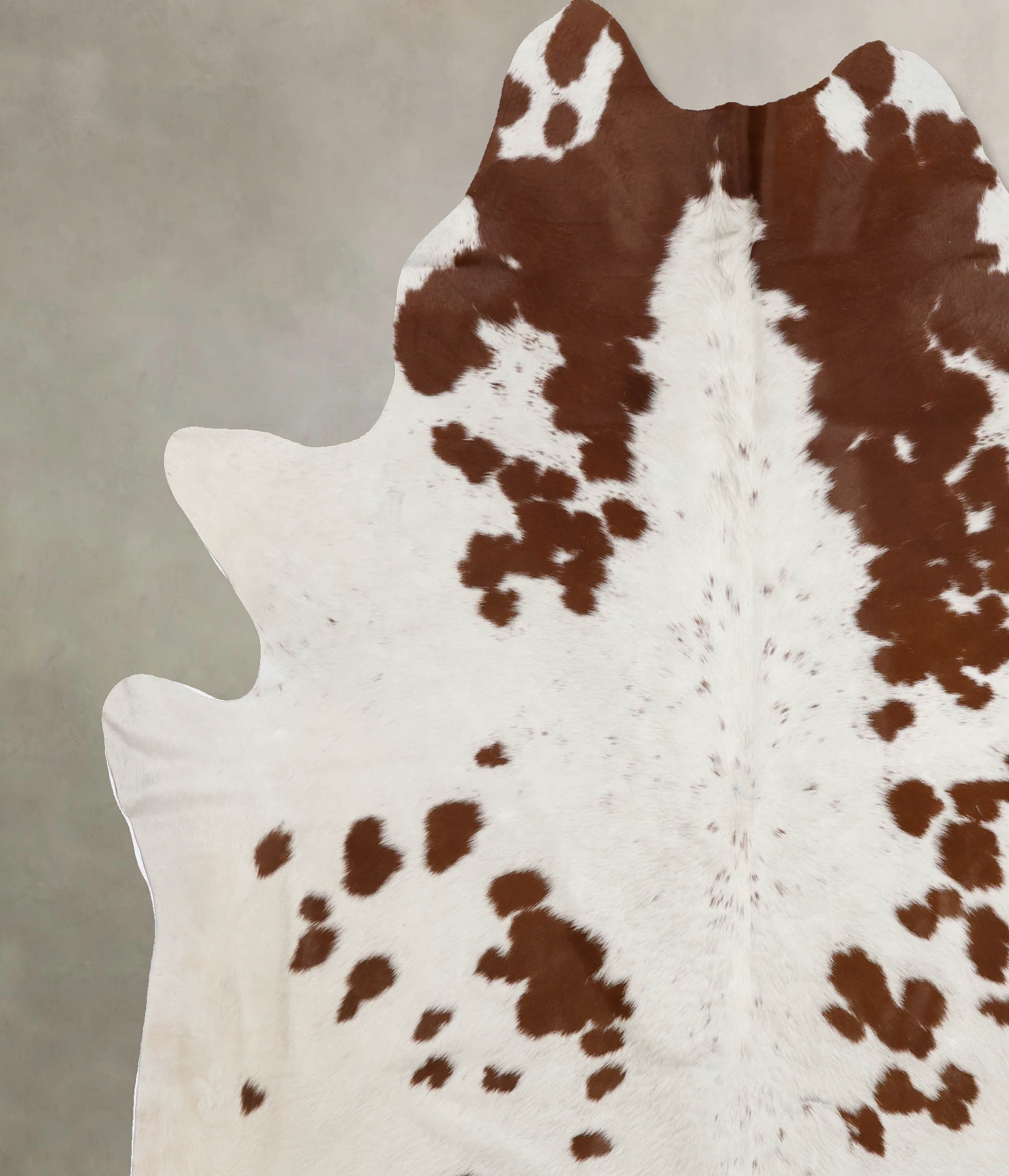 Brown and White Regular Cowhide Rug #B10265