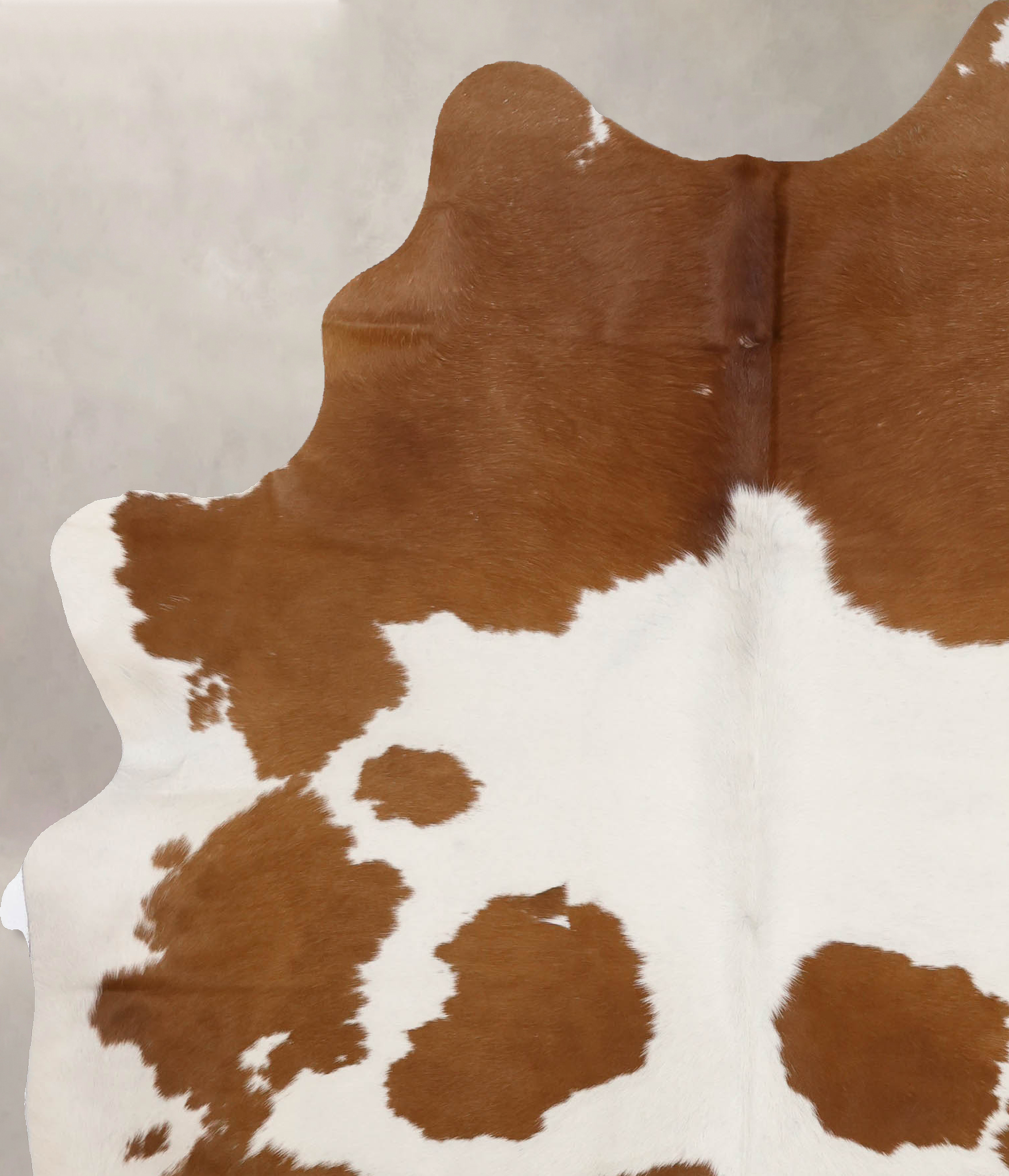 Brown and White Cowhide Rug #B10268