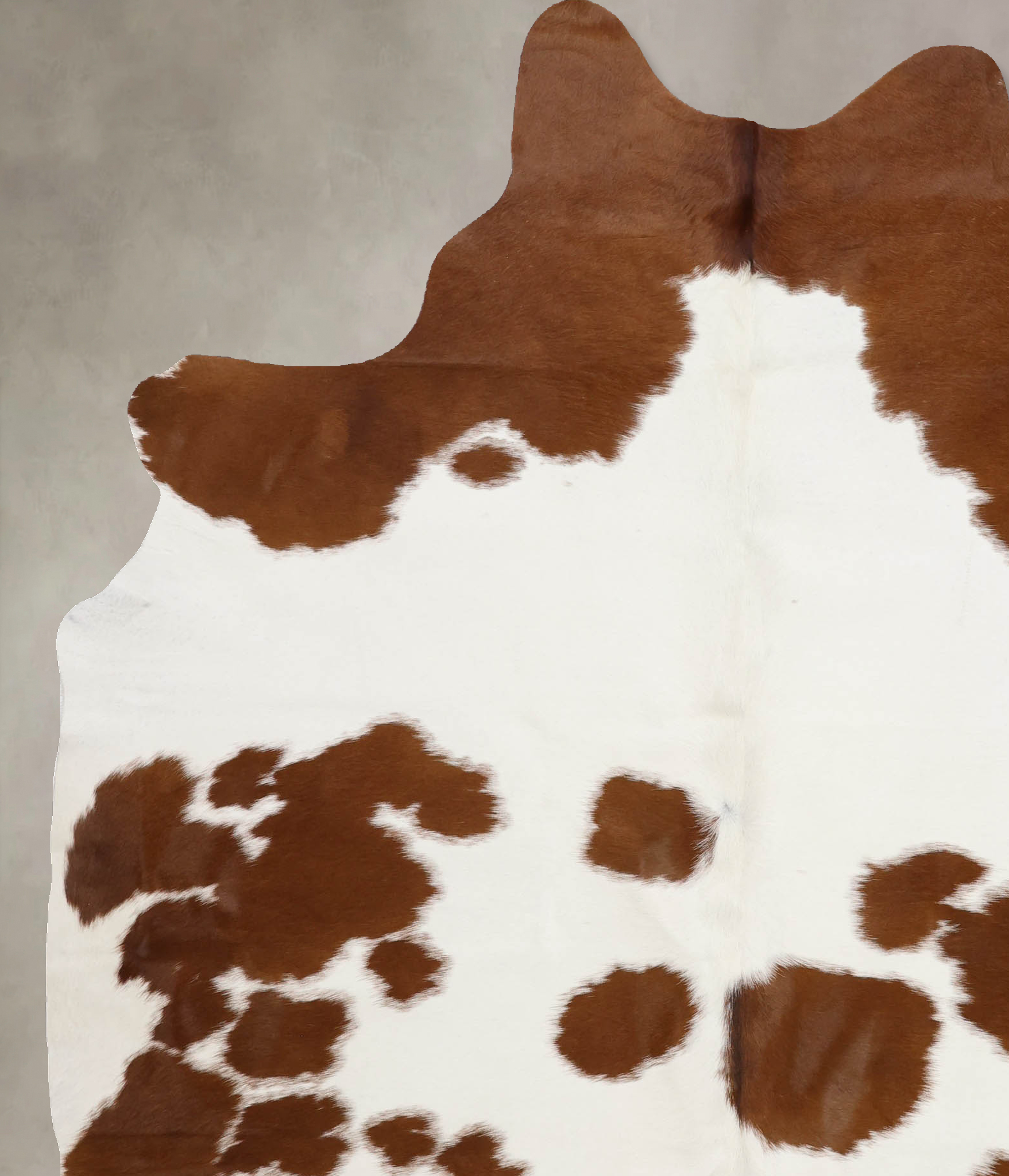 Brown and White Cowhide Rug #B10270