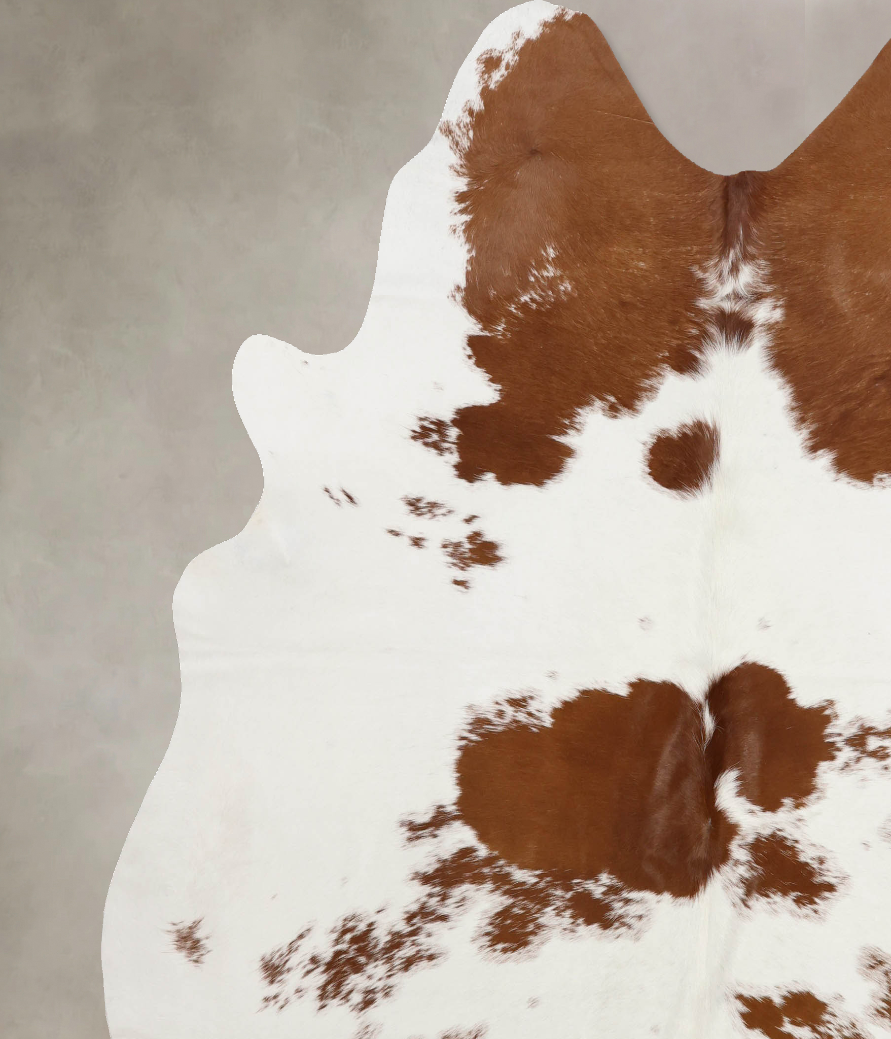 Brown and White Cowhide Rug #B10274