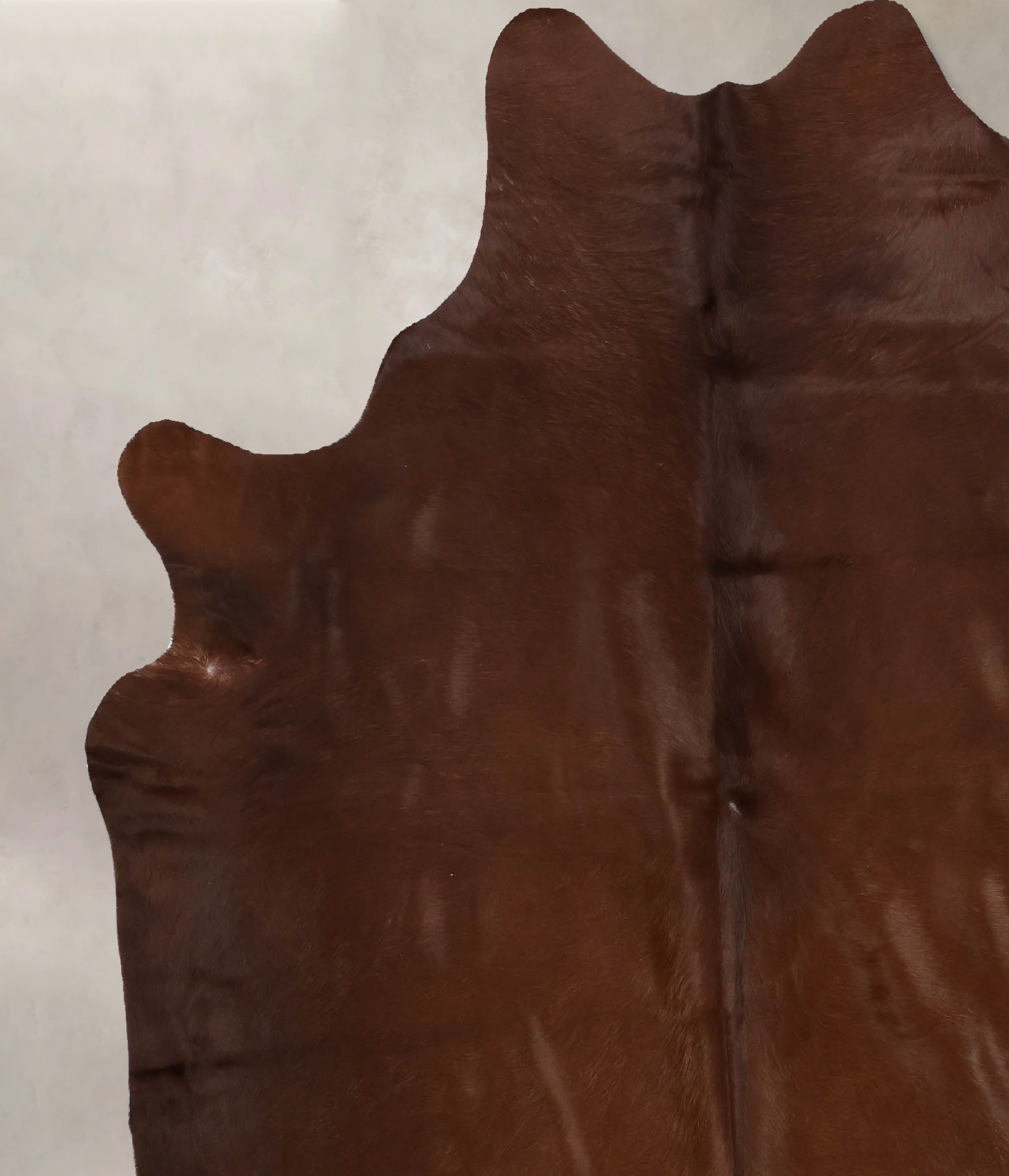 Solid Brown Cowhide Rug #B10319