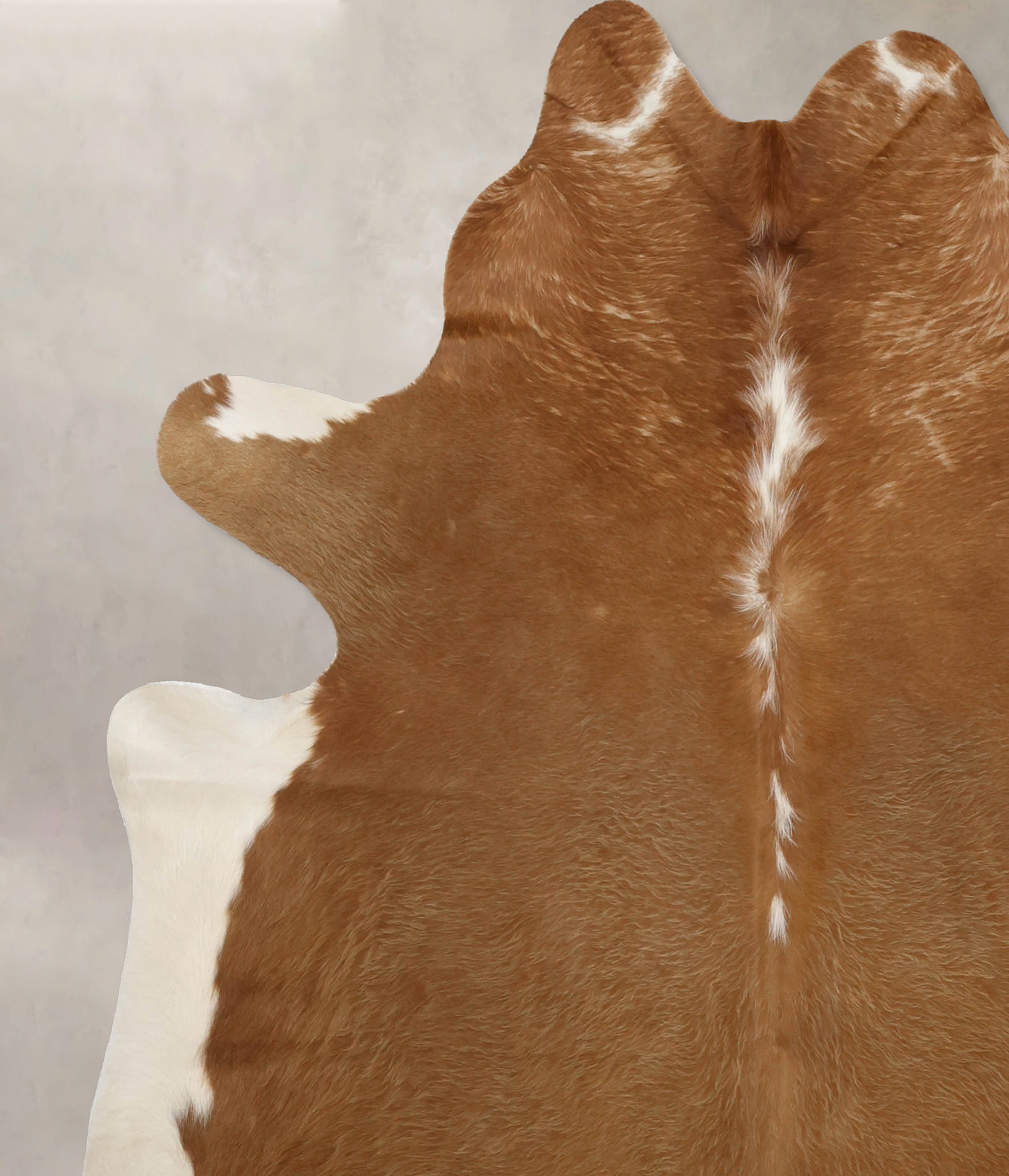 Brown and White Regular Cowhide Rug #B10370