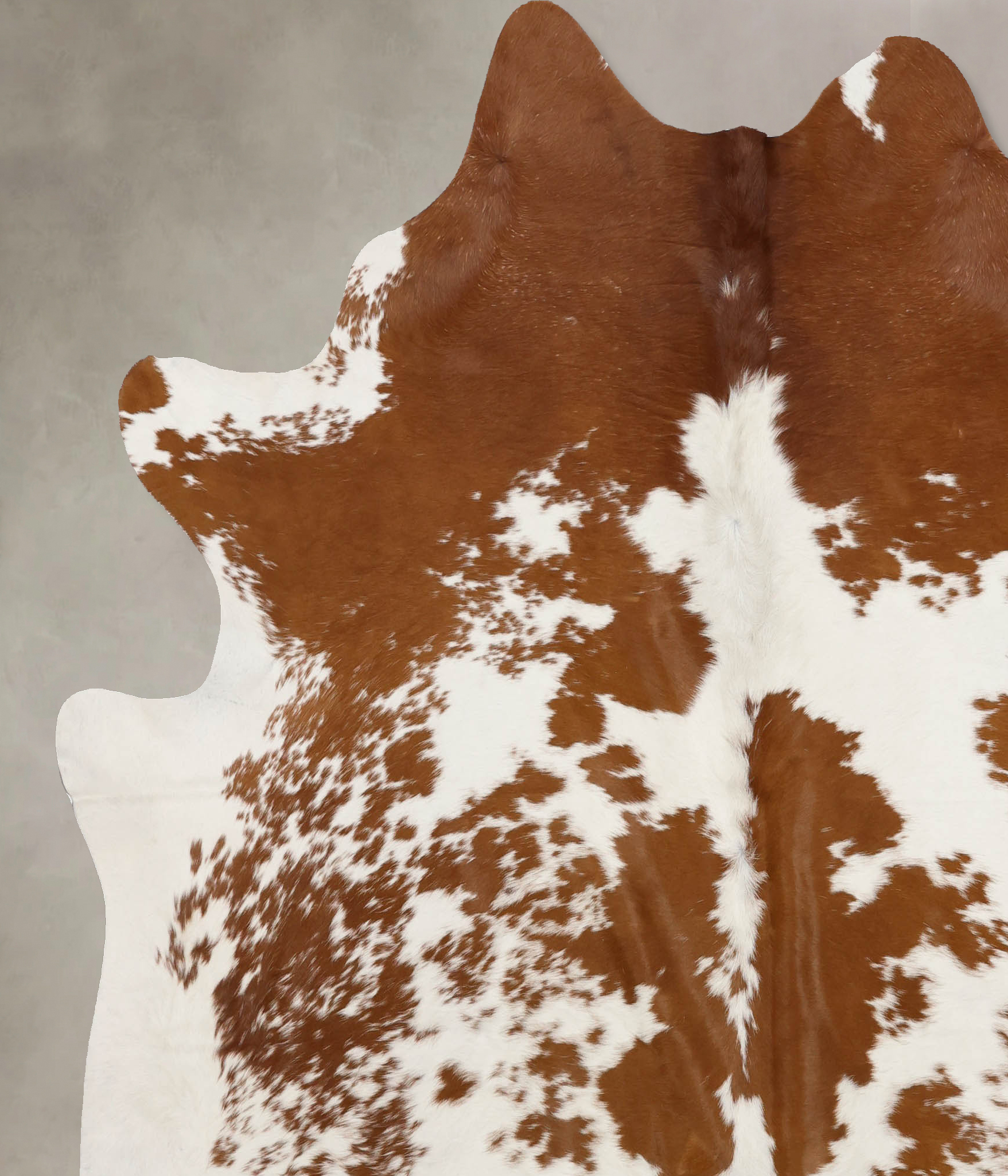 Brown and White Cowhide Rug #B10389